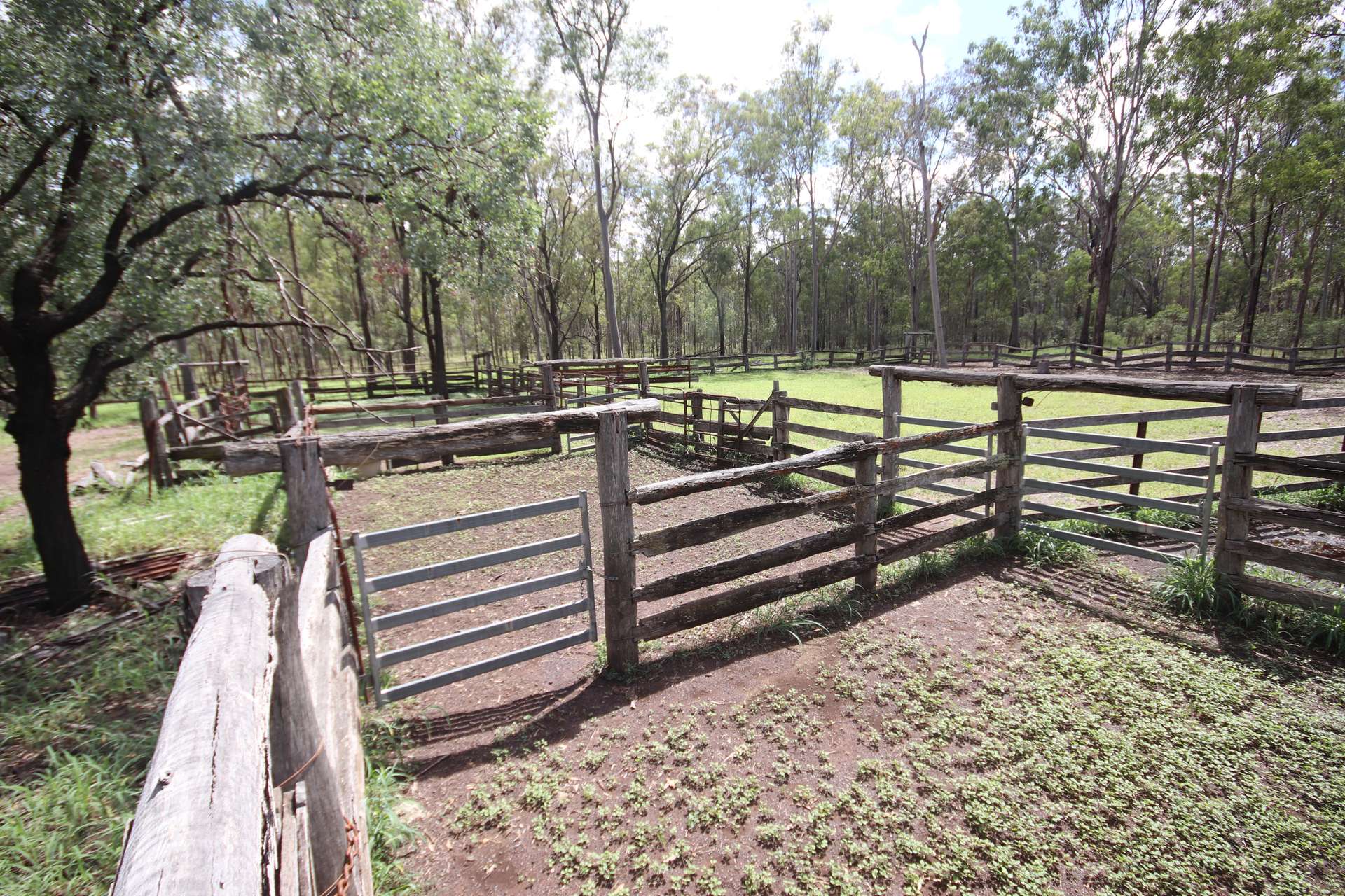 'Greentree' Mundubbera-Durong Rd, Mundubbera Sold by Farmbuy.com - image 2