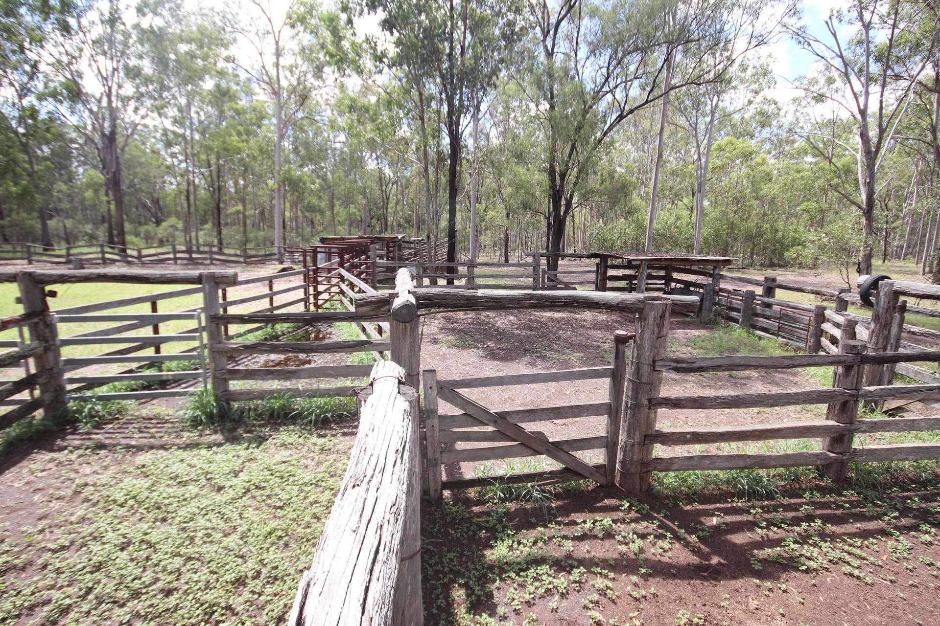 'Greentree' Mundubbera-Durong Rd, Mundubbera Sold by Farmbuy.com - image 3