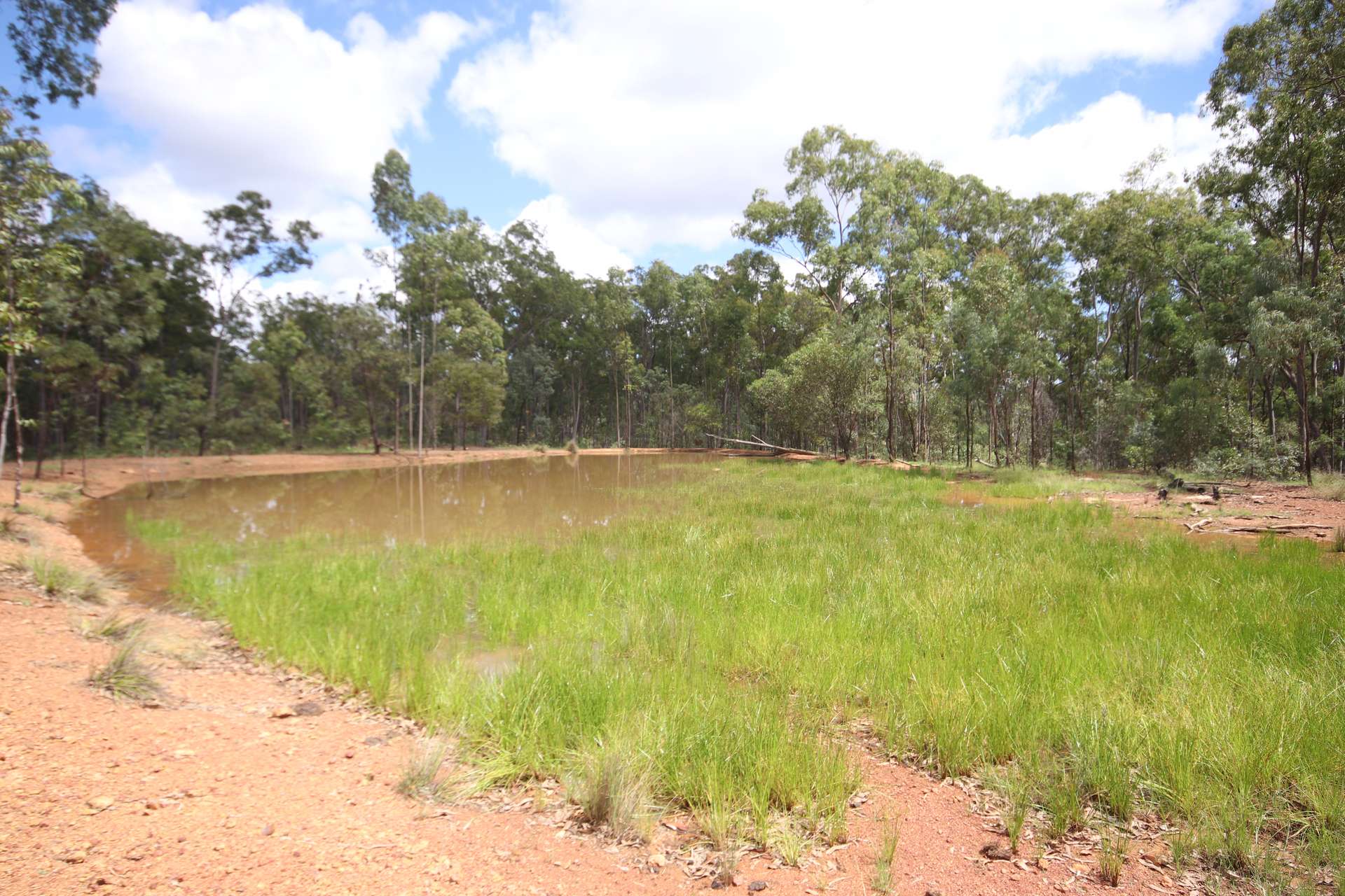 'Greentree' Mundubbera-Durong Rd, Mundubbera Sold by Farmbuy.com - image 10