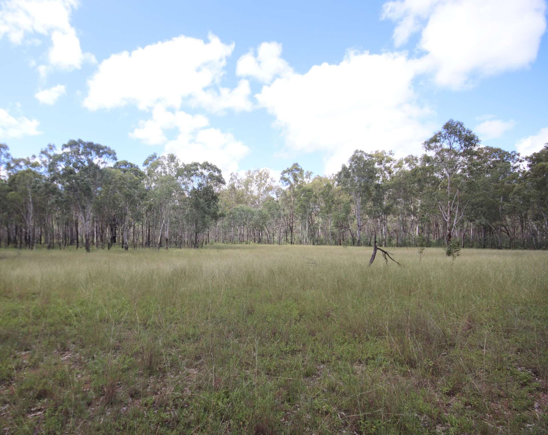 'Greentree' Mundubbera-Durong Rd, Mundubbera Sold by Farmbuy.com - image 6