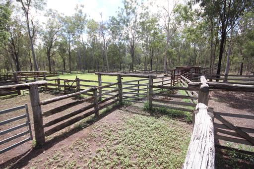 Farm Sold - QLD - Mundubbera - 4626 - Another Great Sale by Glen Duffin@ Ray White Rural Mundubbera 