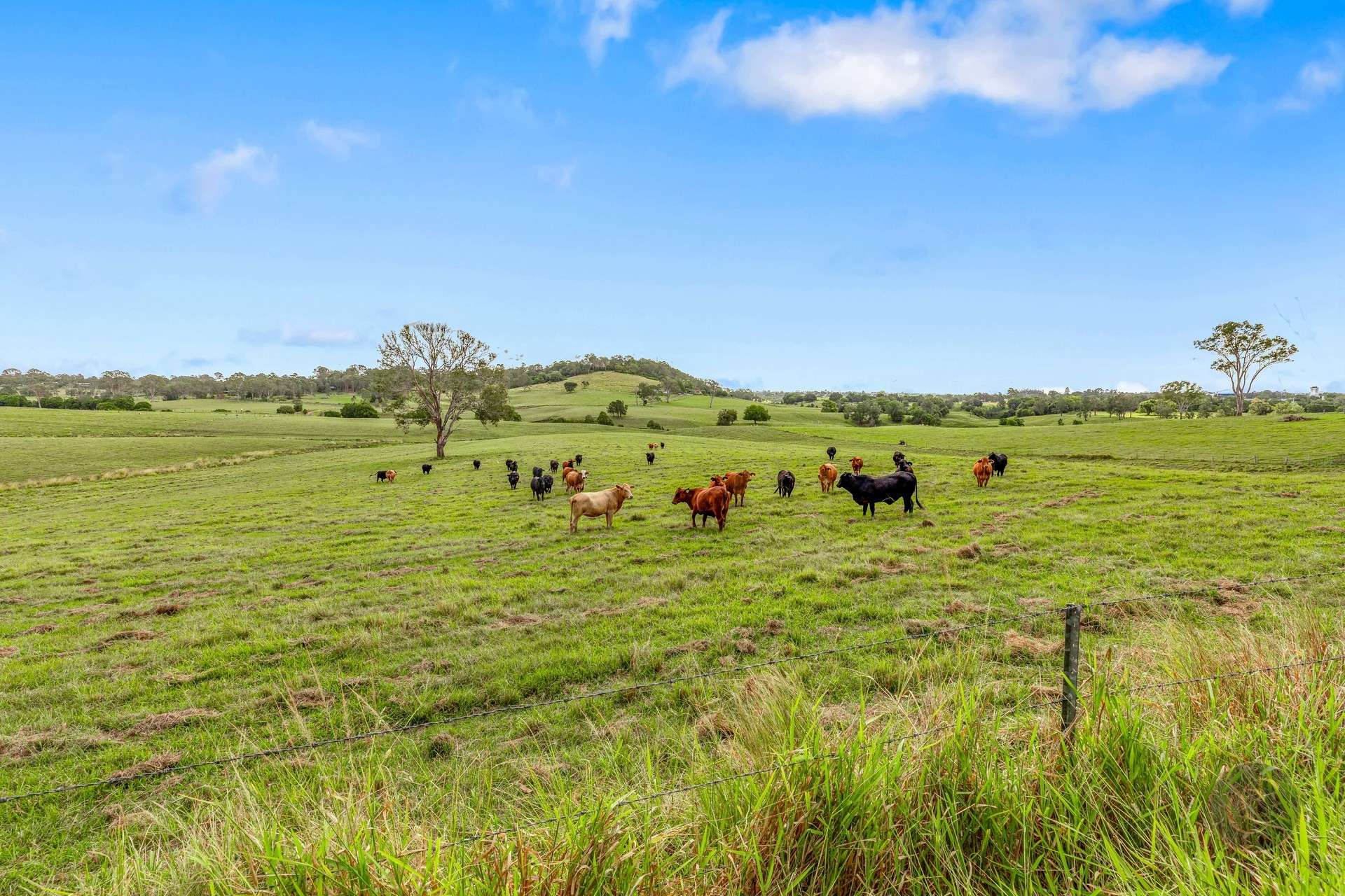 Lot 1 Fitzpatrick Road, Jones Hill For Sale by Farmbuy.com - image 13