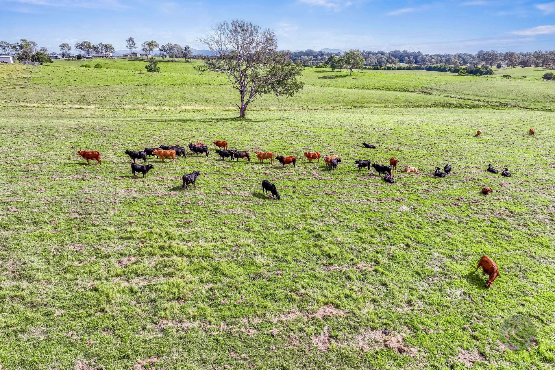 Lot 1 Fitzpatrick Road, Jones Hill For Sale by Farmbuy.com - image 15
