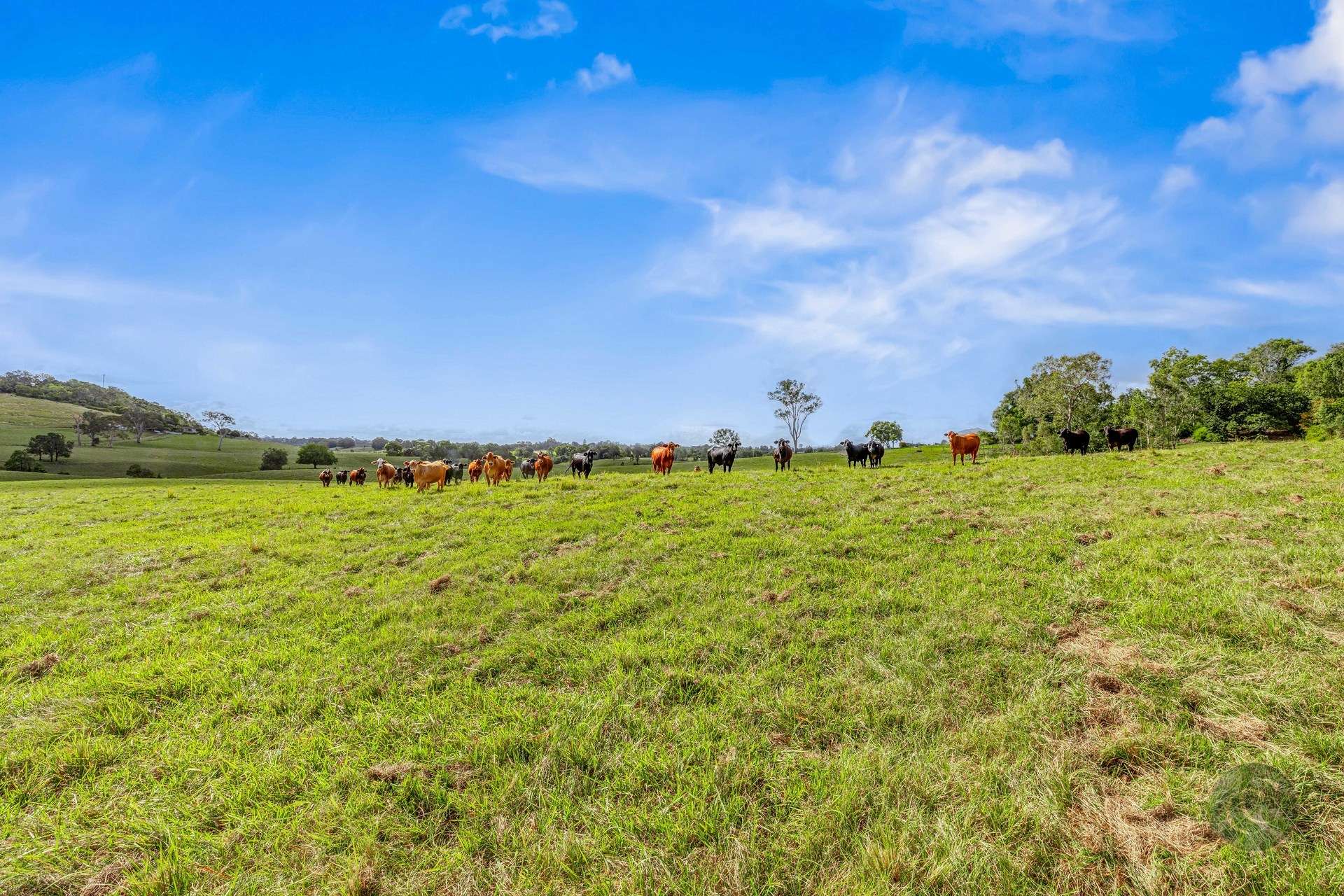 Lot 1 Fitzpatrick Road, Jones Hill For Sale by Farmbuy.com - image 3