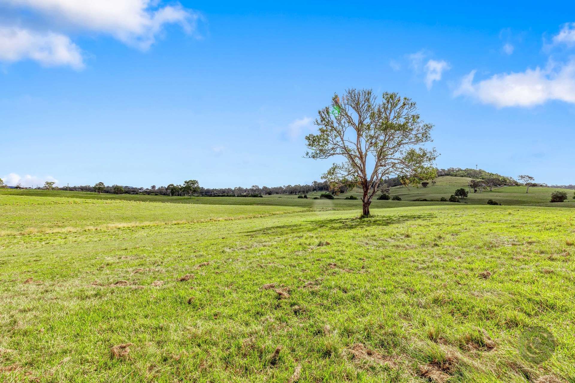 Lot 1 Fitzpatrick Road, Jones Hill For Sale by Farmbuy.com - image 2
