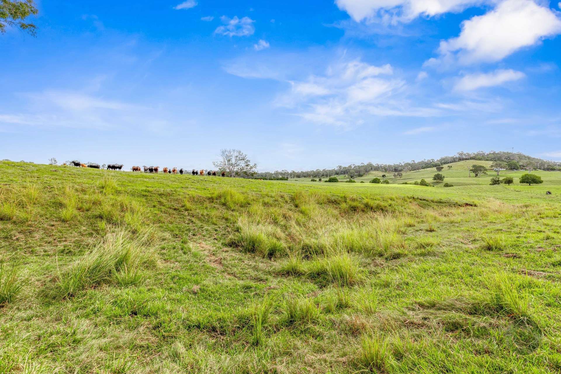 Lot 1 Fitzpatrick Road, Jones Hill For Sale by Farmbuy.com - image 10