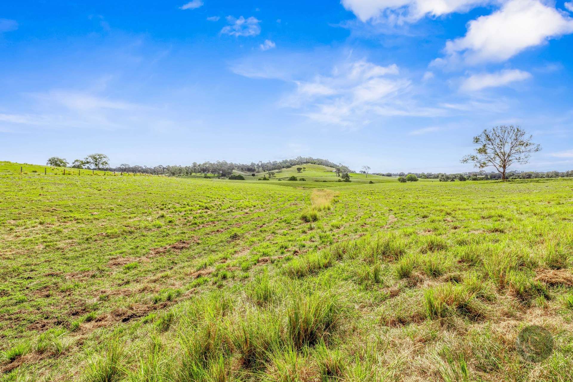 Lot 1 Fitzpatrick Road, Jones Hill For Sale by Farmbuy.com - image 6