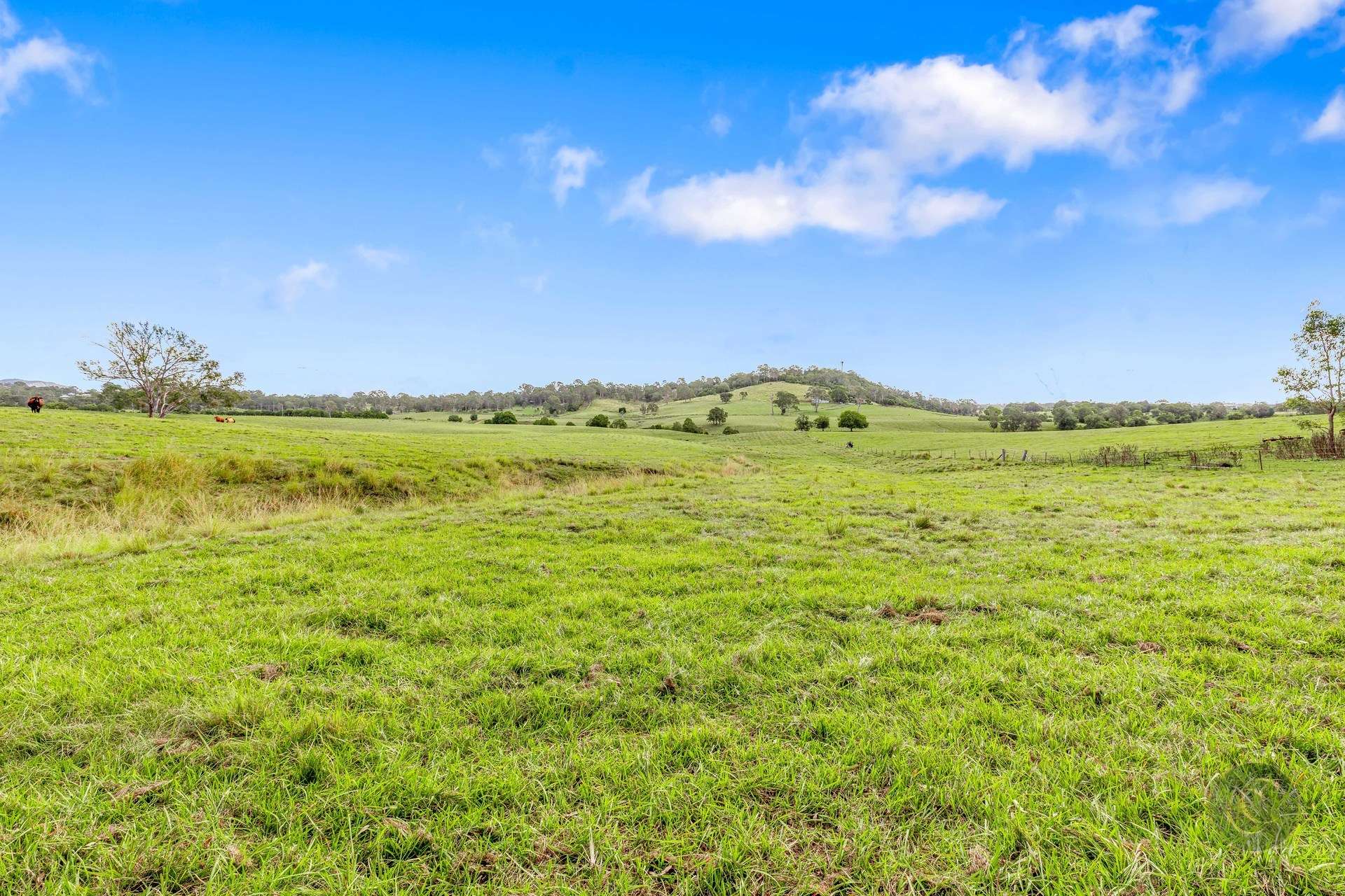 Lot 1 Fitzpatrick Road, Jones Hill For Sale by Farmbuy.com - image 7
