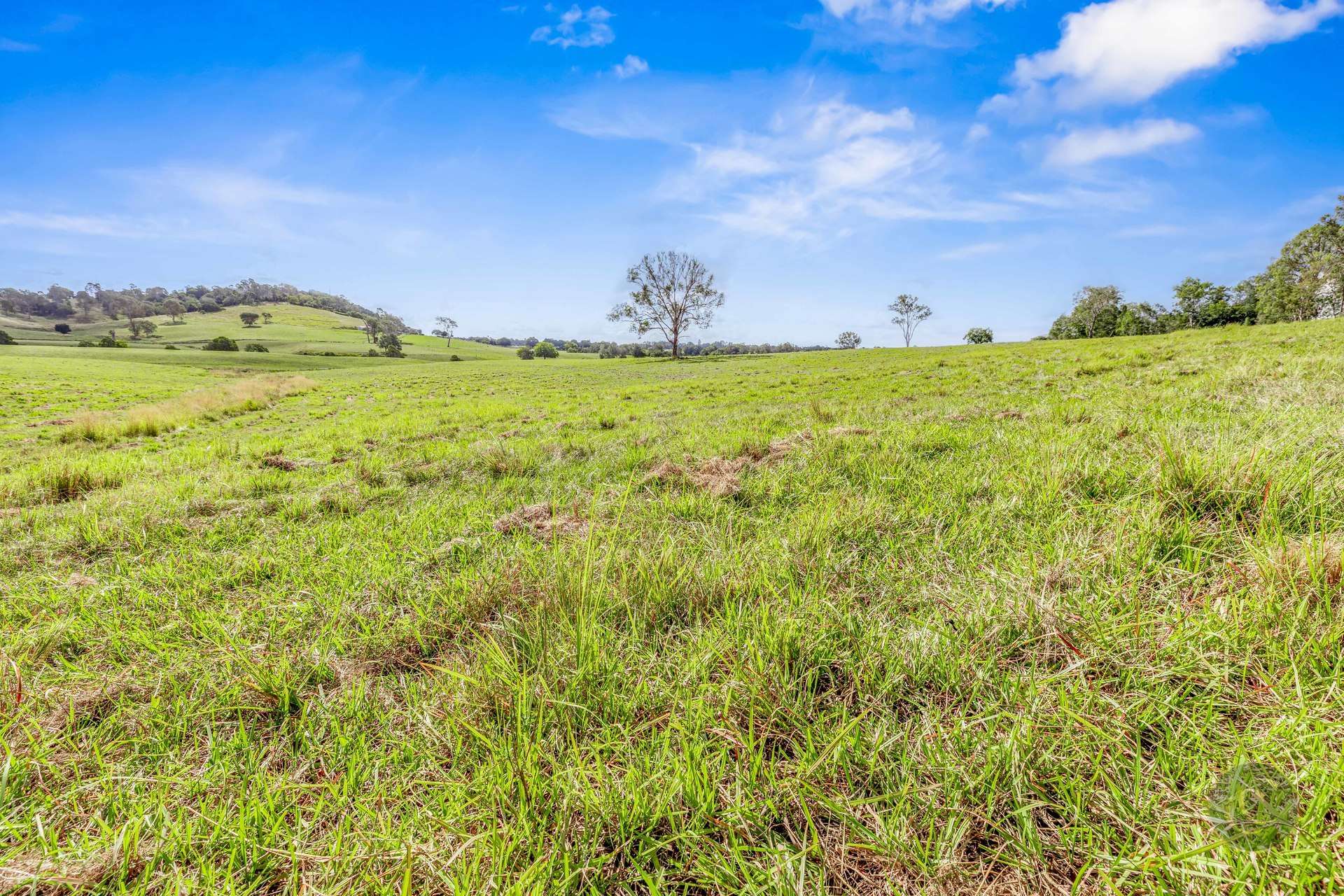 Lot 1 Fitzpatrick Road, Jones Hill For Sale by Farmbuy.com - image 8