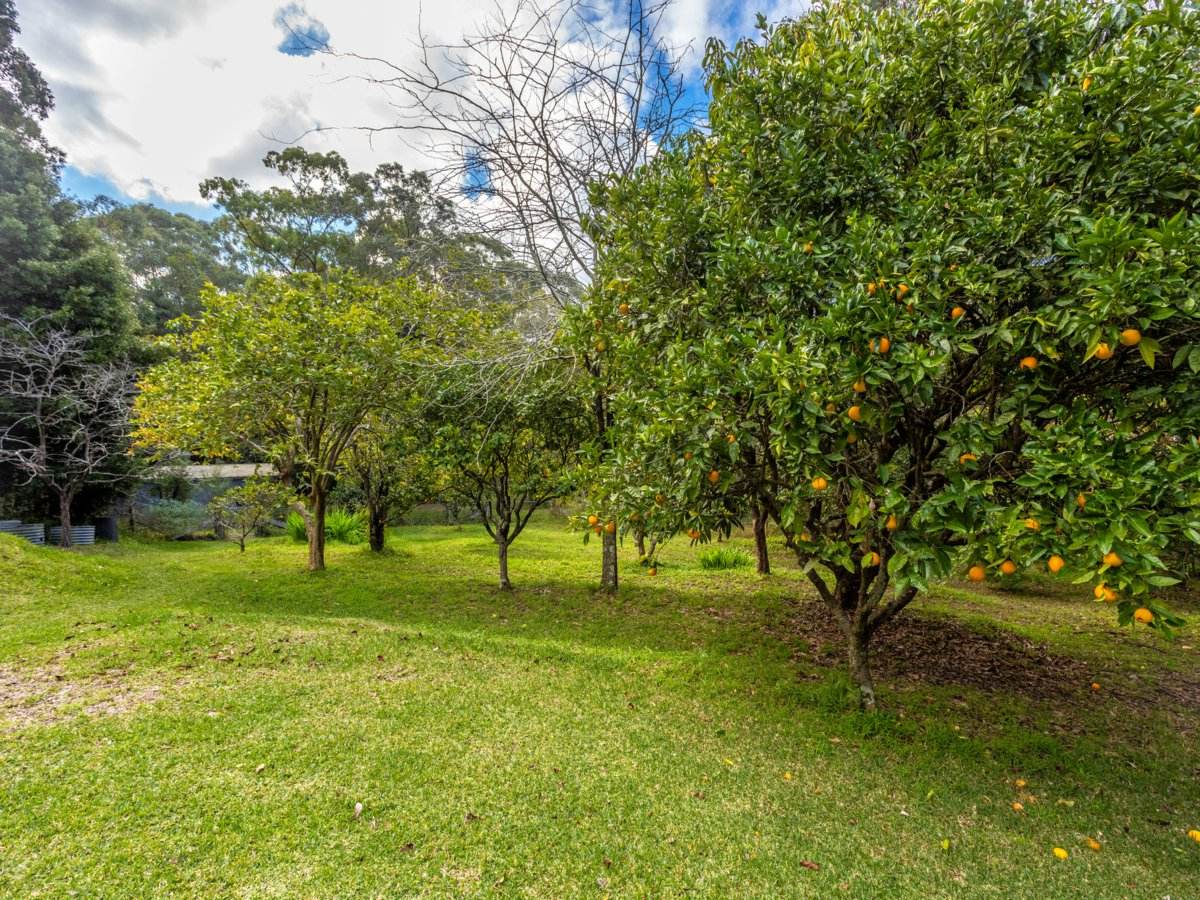 146 Factory Road, Mitchells Island For Sale by Farmbuy.com - image 22