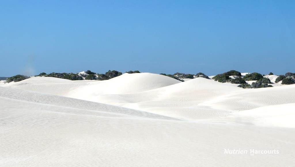 Lot 309 Pindari Place, Karakin For Sale by Farmbuy.com - image 11