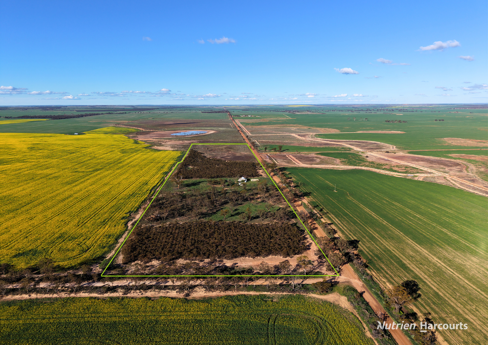 Lot 14 Korbrelkulling Road, Hines Hill For Sale by Farmbuy.com - image 8