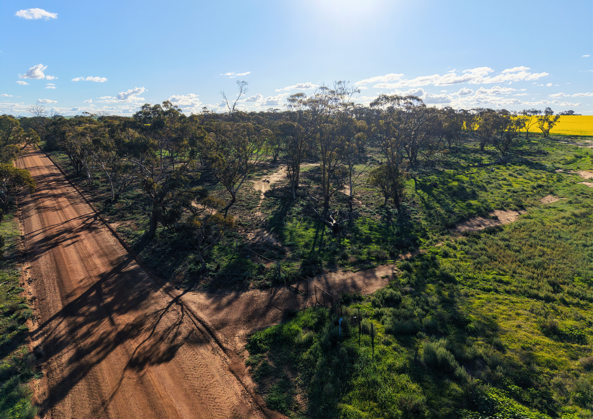 Lot 14 Korbrelkulling Road, Hines Hill For Sale by Farmbuy.com - image 5