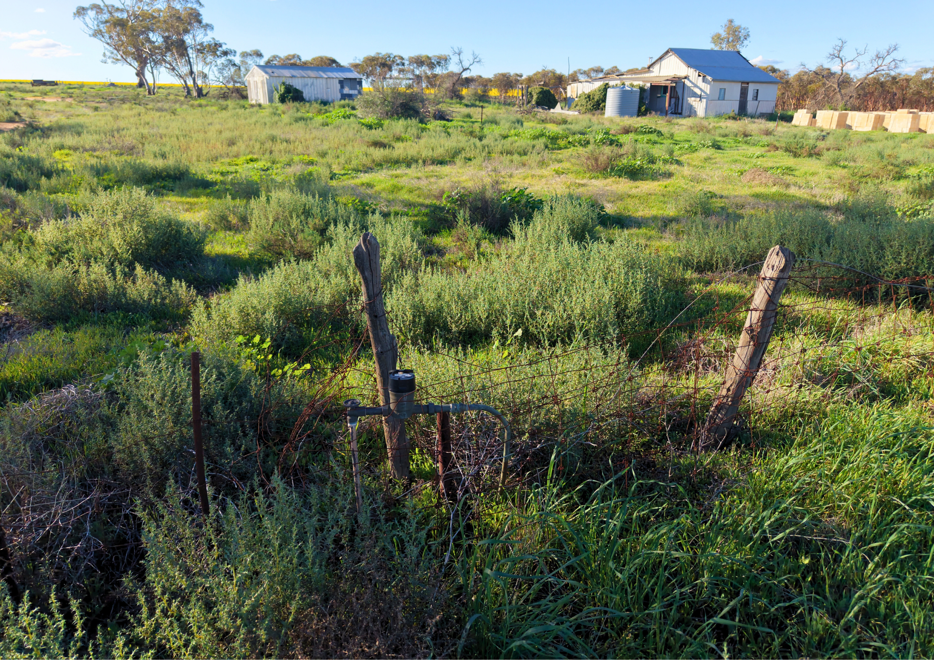 Lot 14 Korbrelkulling Road, Hines Hill For Sale by Farmbuy.com - image 9