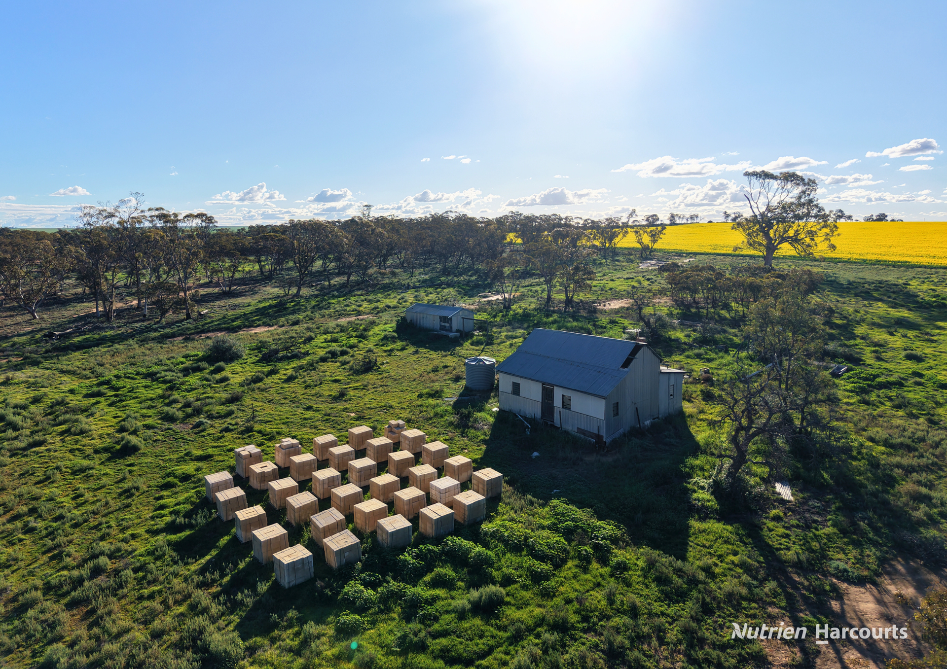 Lot 14 Korbrelkulling Road, Hines Hill For Sale by Farmbuy.com - image 3