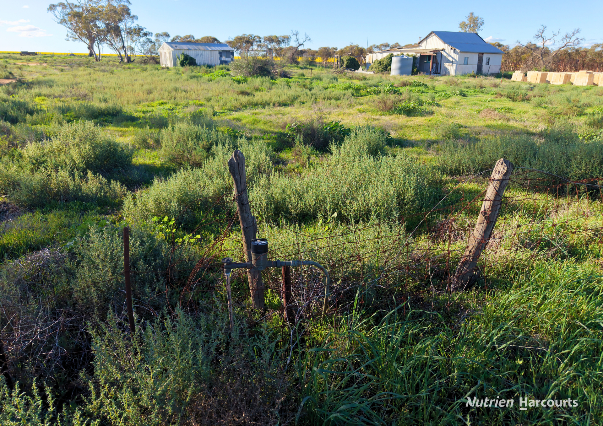 Lot 14 Korbrelkulling Road, Hines Hill For Sale by Farmbuy.com - image 9