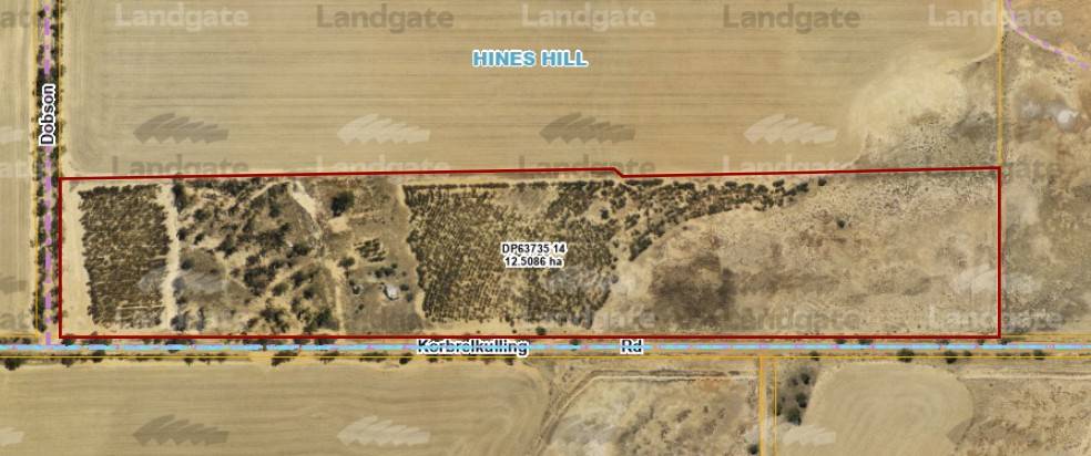 Lot 14 Korbrelkulling Road, Hines Hill For Sale by Farmbuy.com - image 11