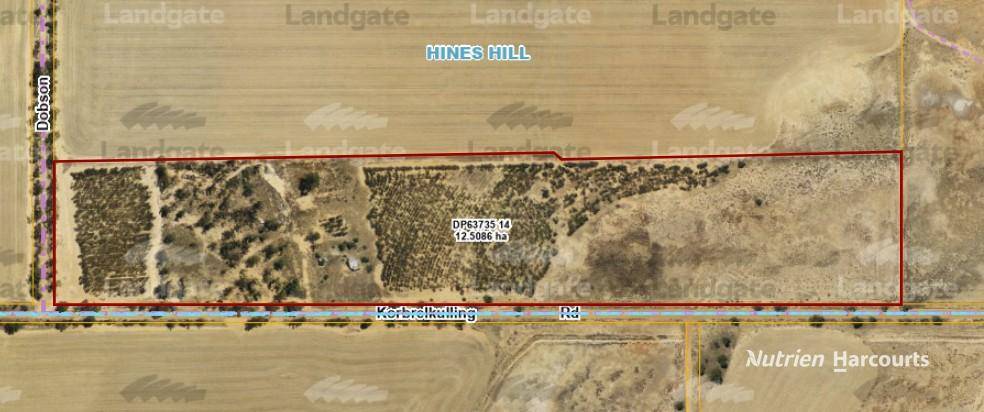 Lot 14 Korbrelkulling Road, Hines Hill For Sale by Farmbuy.com - image 11