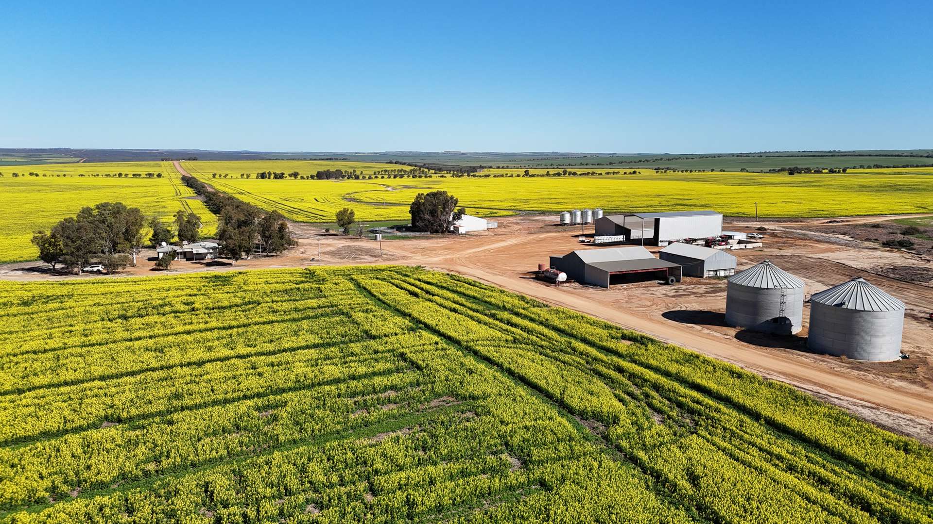 1741 Bunney Road, Arrowsmith For Sale by Farmbuy.com - image 7