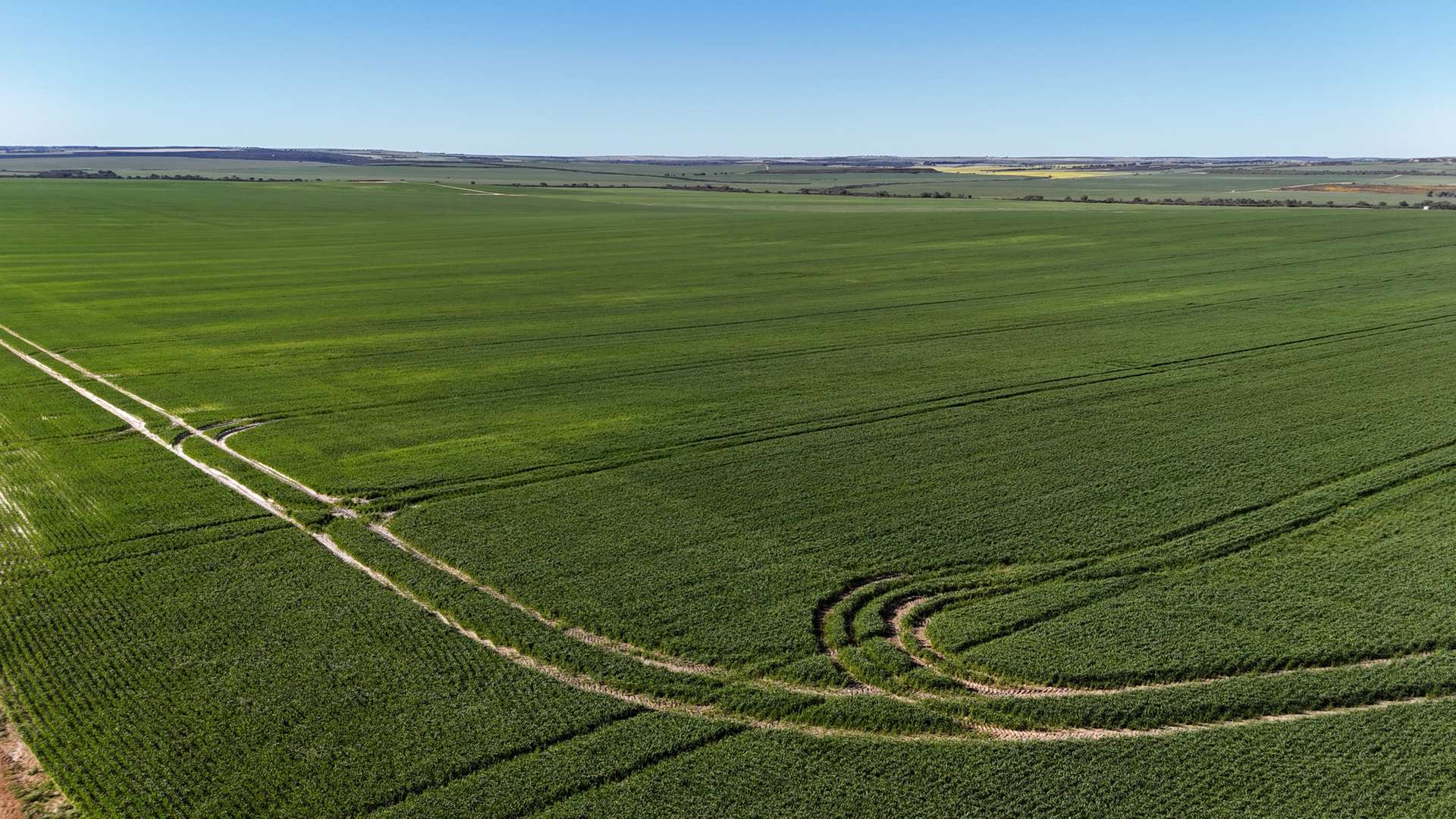 1741 Bunney Road, Arrowsmith For Sale by Farmbuy.com - image 16