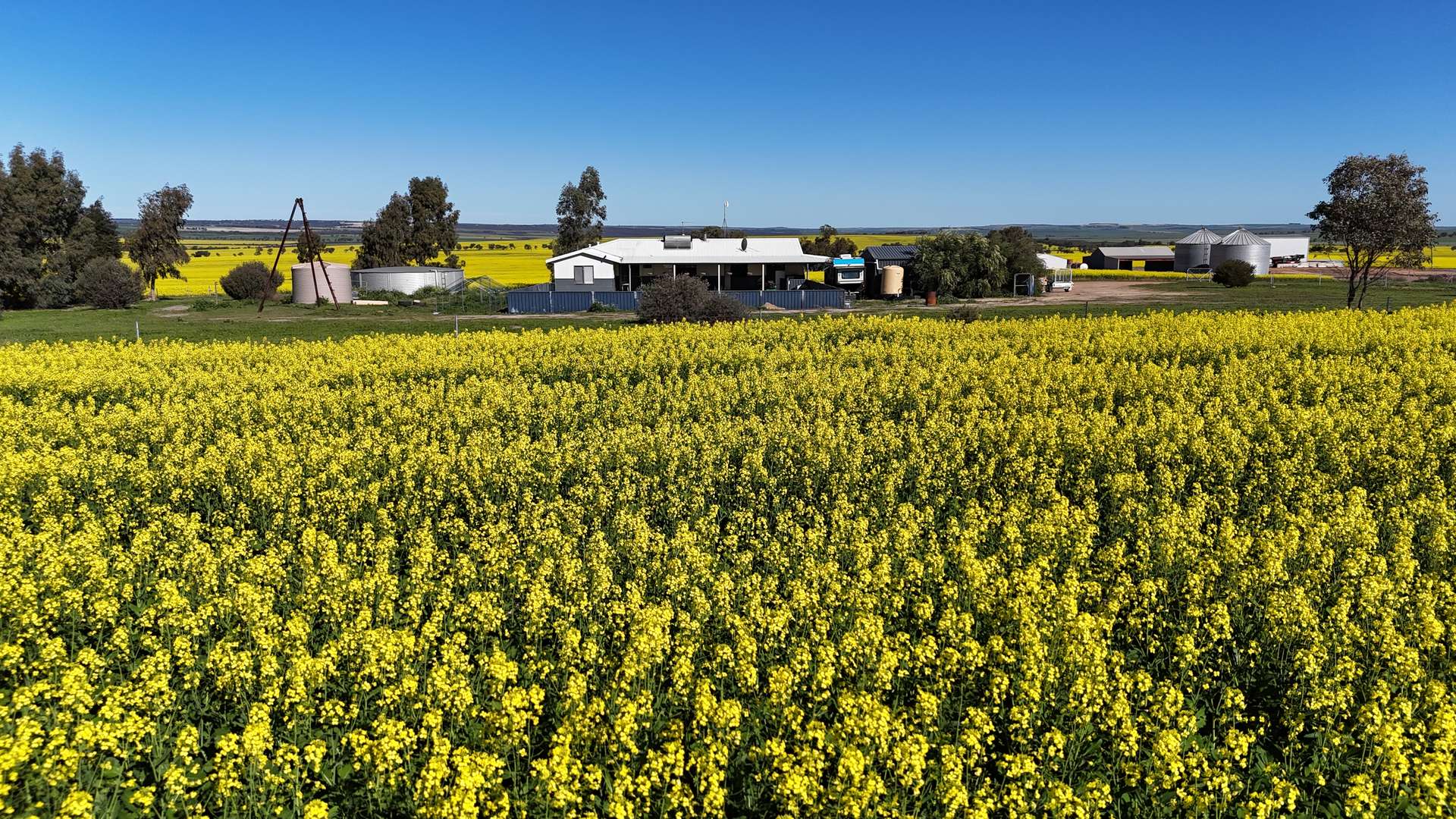 1741 Bunney Road, Arrowsmith For Sale by Farmbuy.com - image 16