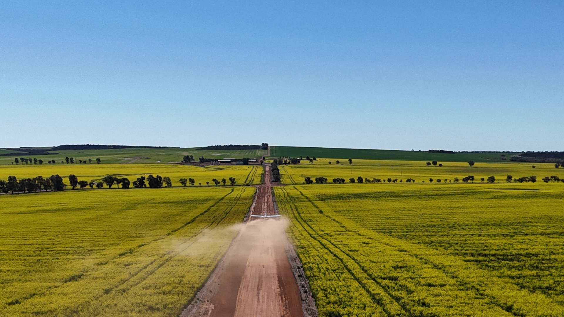 1741 Bunney Road, Arrowsmith For Sale by Farmbuy.com - image 19