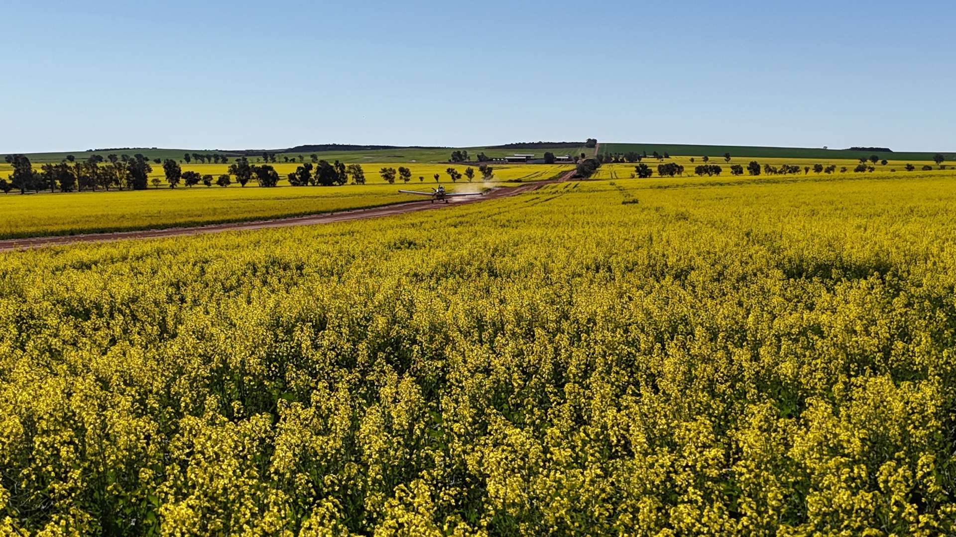 1741 Bunney Road, Arrowsmith For Sale by Farmbuy.com - image 18