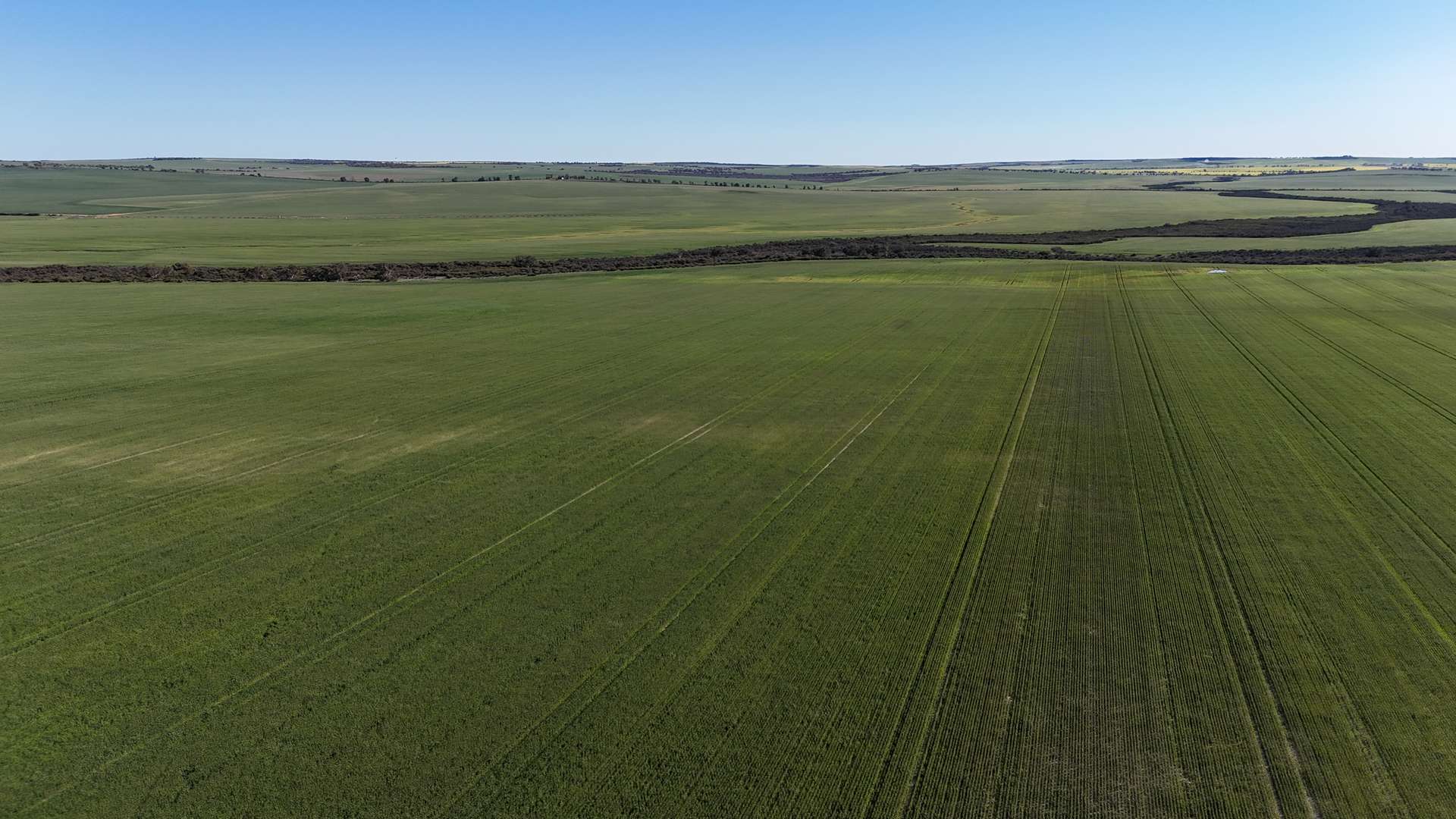 1741 Bunney Road, Arrowsmith For Sale by Farmbuy.com - image 2