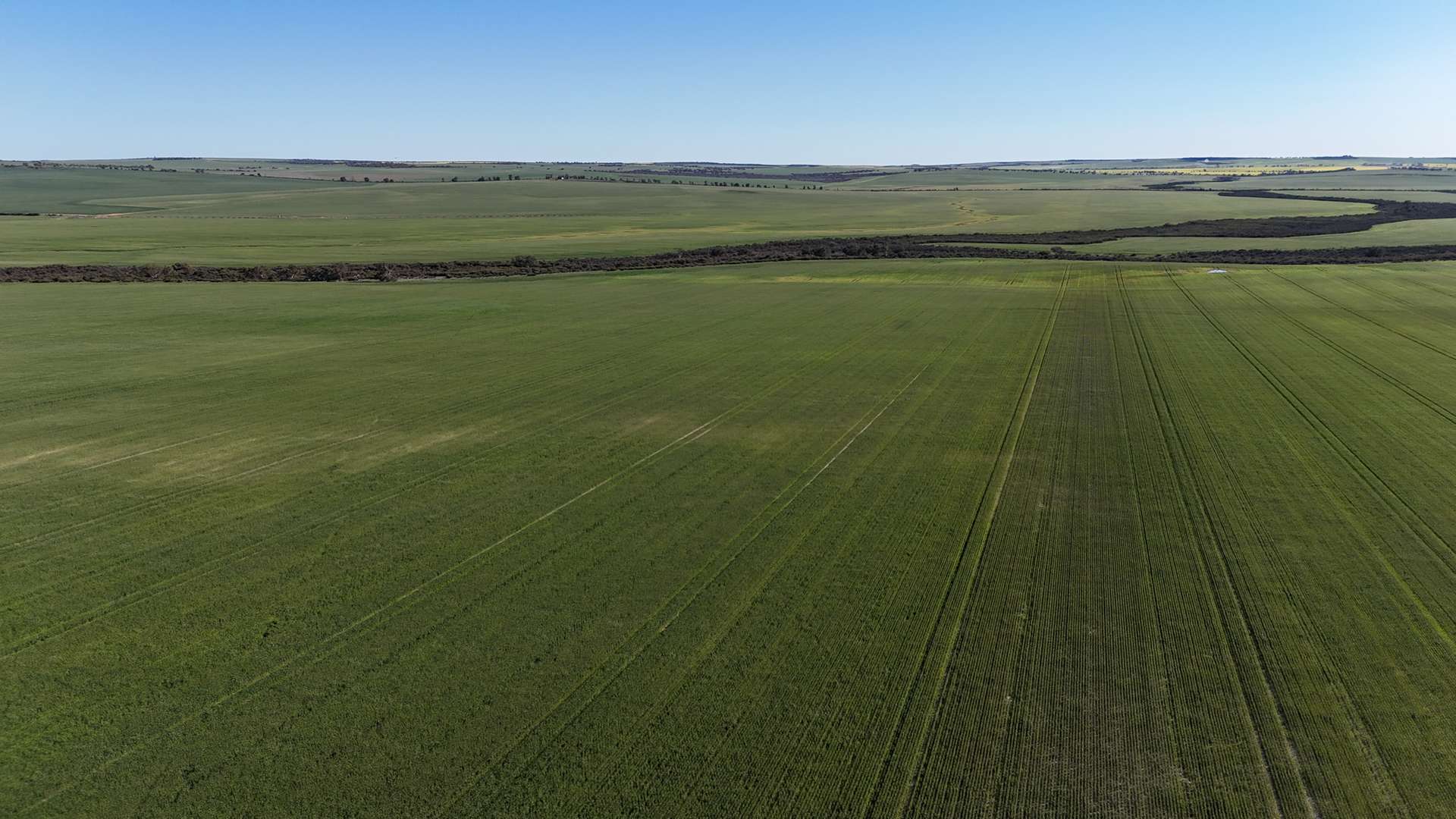 1741 Bunney Road, Arrowsmith For Sale by Farmbuy.com - image 12