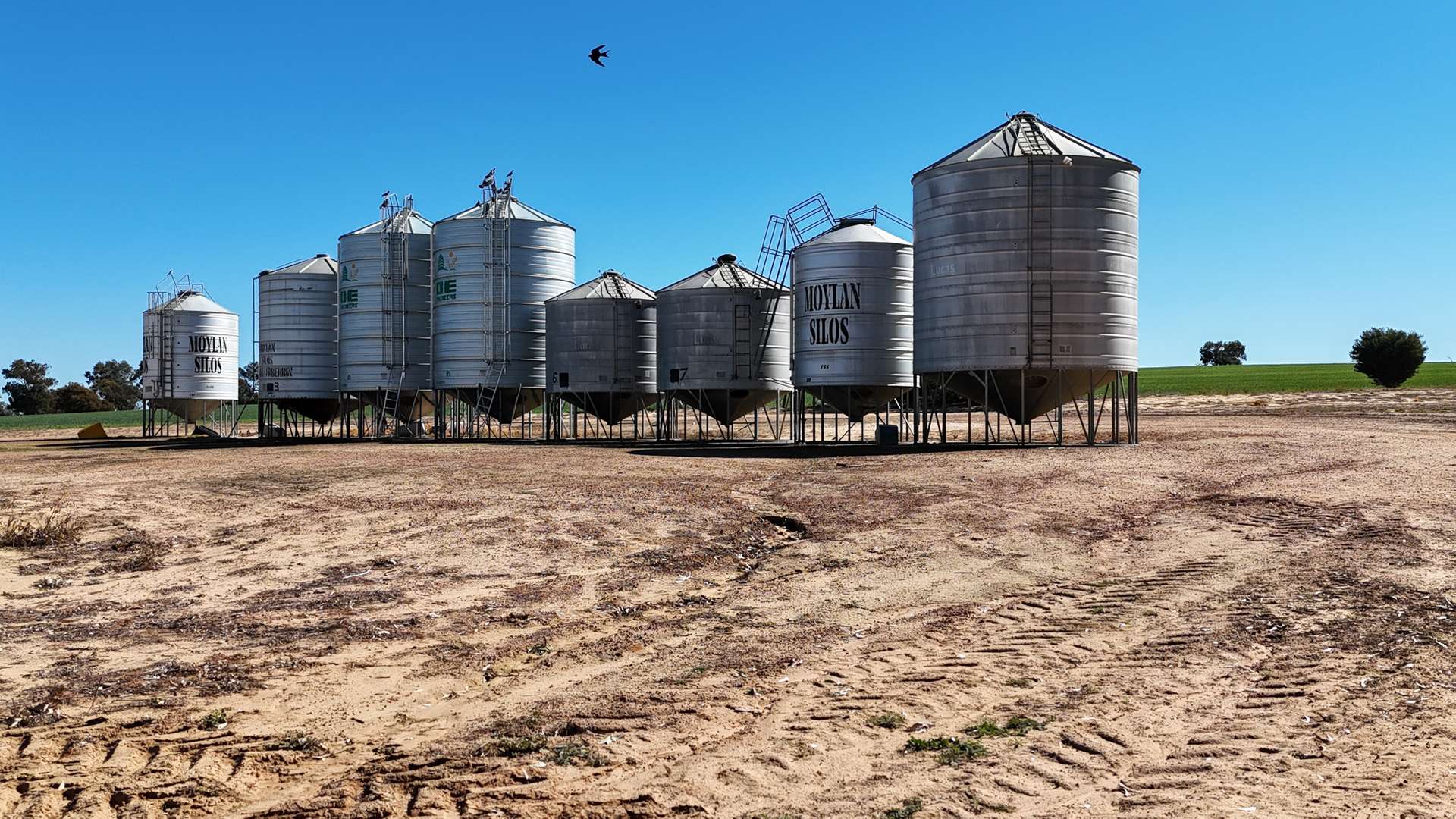 1741 Bunney Road, Arrowsmith For Sale by Farmbuy.com - image 2