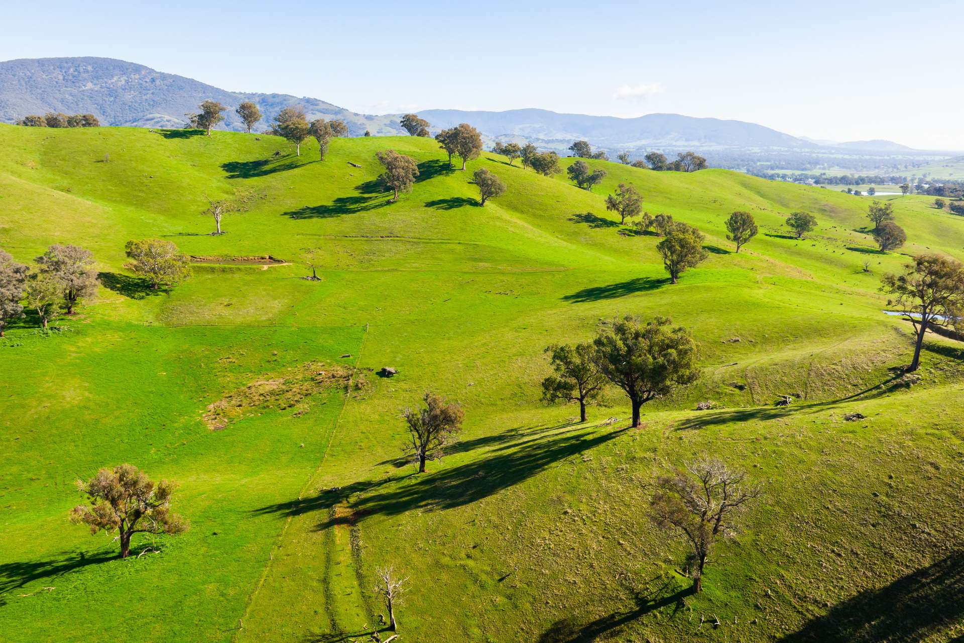 Kiewa East Road, Tangambalanga For Sale by Farmbuy.com - image 3