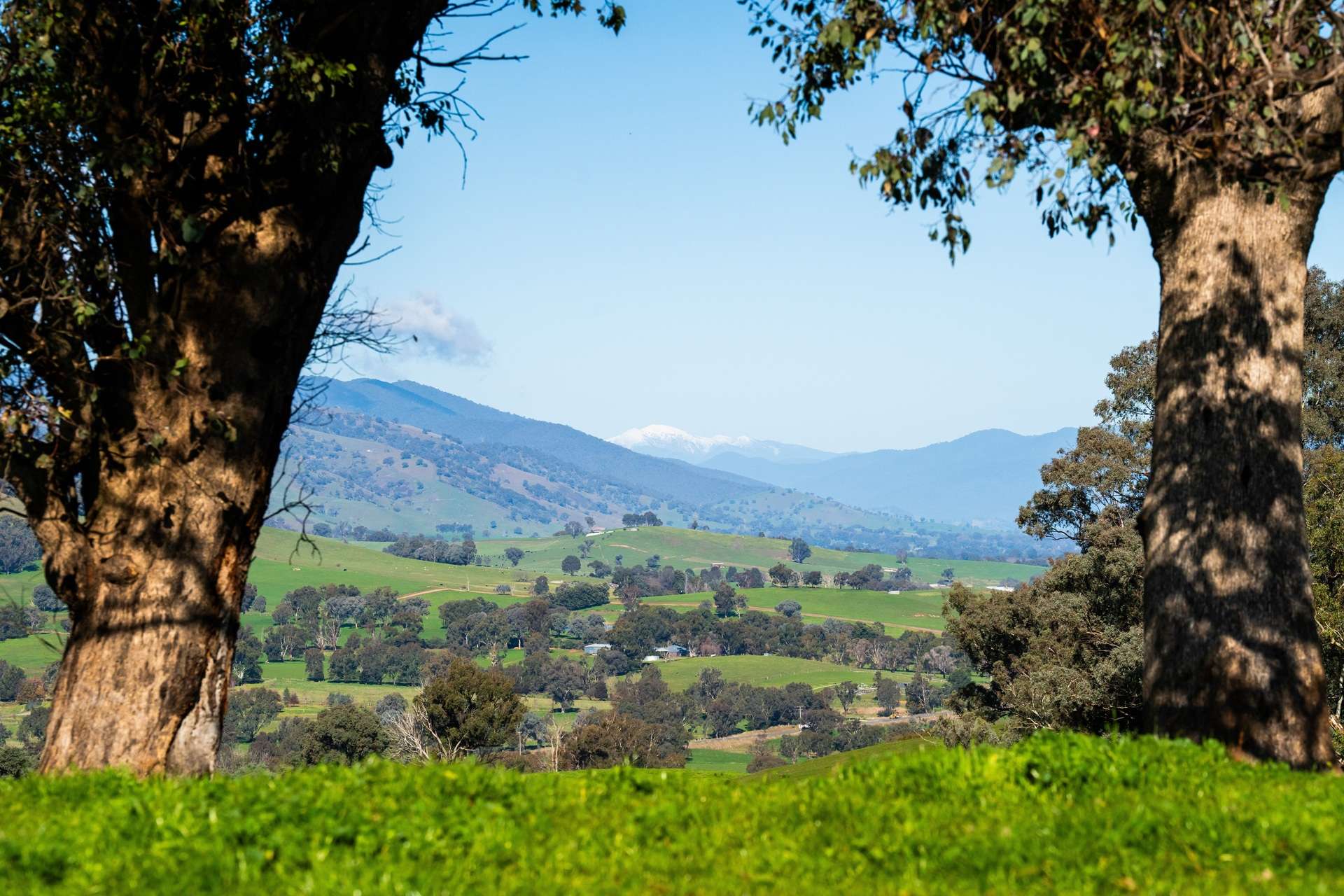 Kiewa East Road, Tangambalanga For Sale by Farmbuy.com - image 5