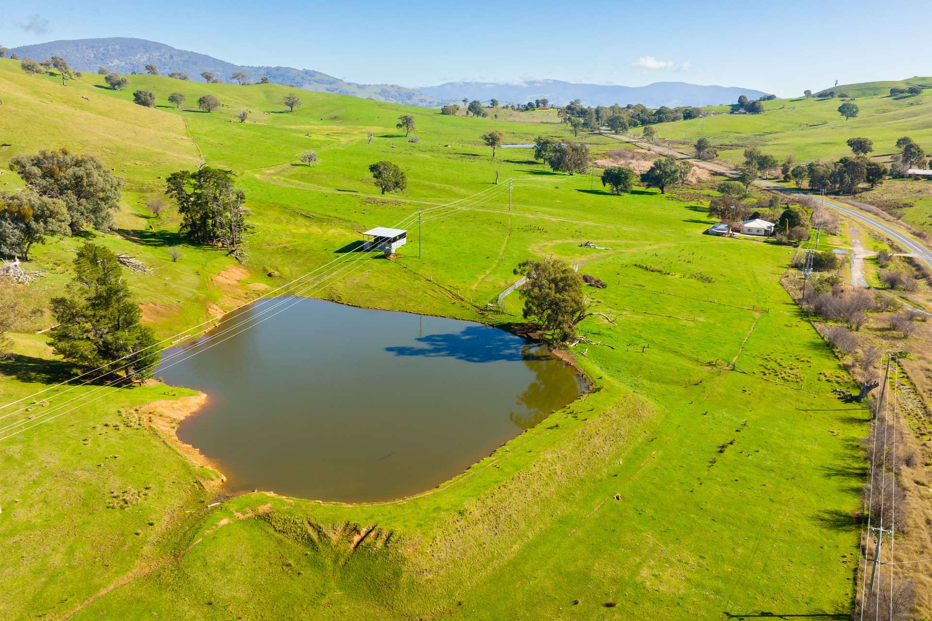 Kiewa East Road, Tangambalanga For Sale by Farmbuy.com - image 13