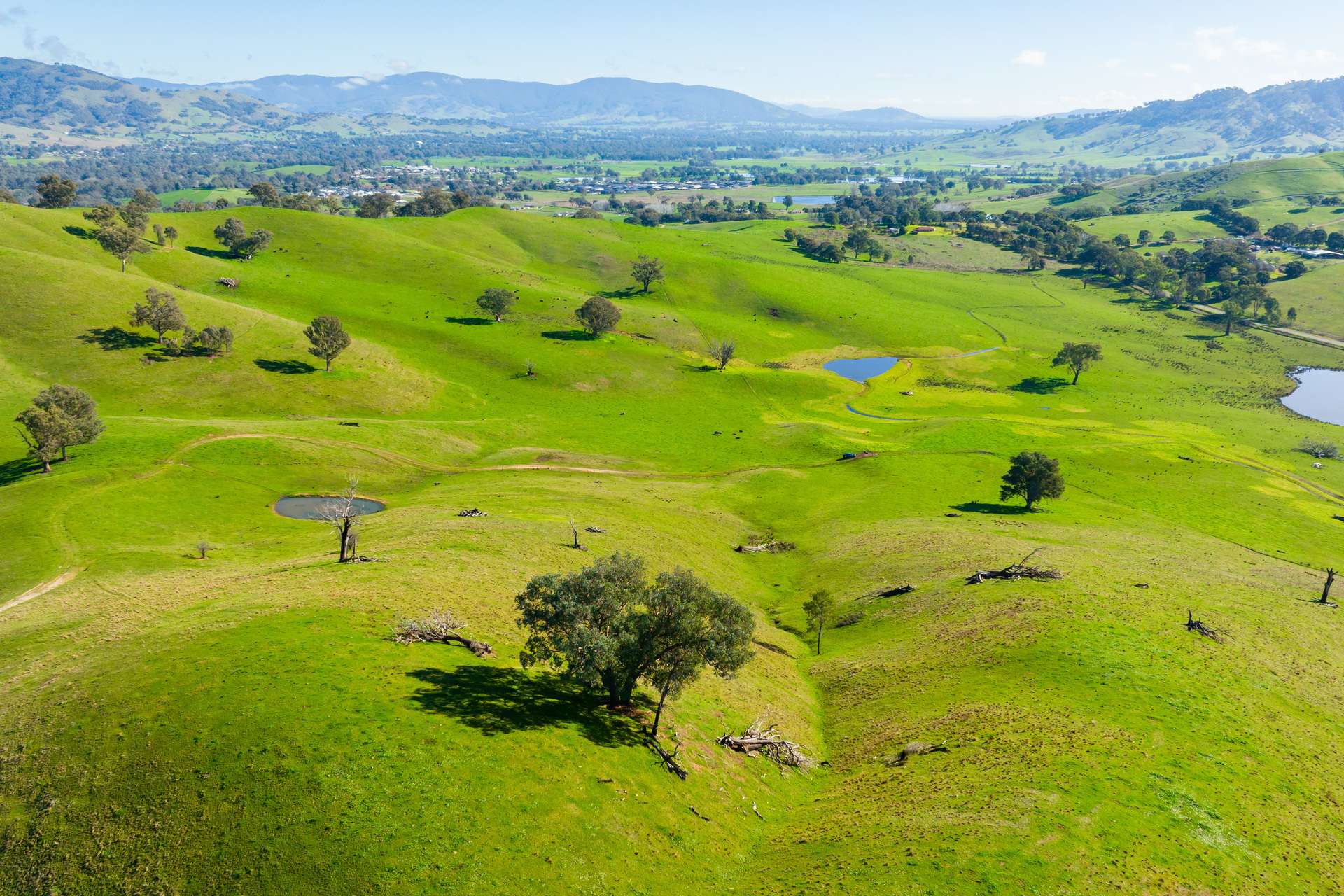 Kiewa East Road, Tangambalanga For Sale by Farmbuy.com - image 2