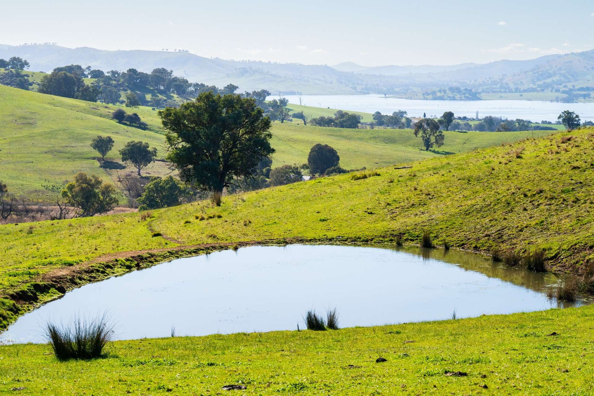 Kiewa East Road, Tangambalanga For Sale by Farmbuy.com - image 4