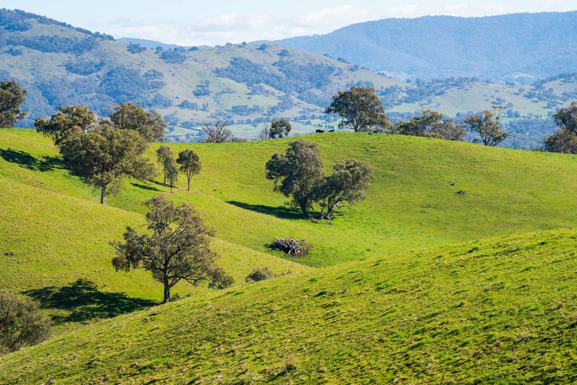Kiewa East Road, Tangambalanga For Sale by Farmbuy.com - image 11