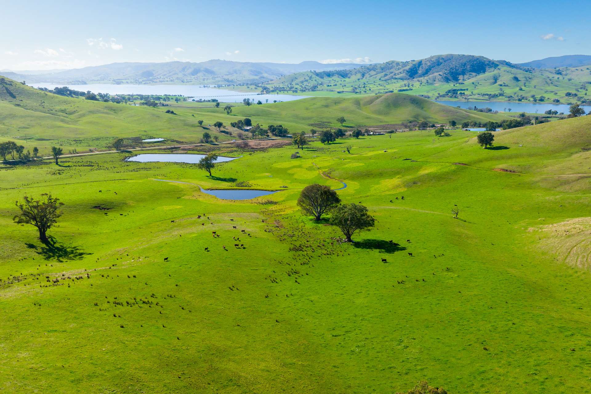 Kiewa East Road, Tangambalanga For Sale by Farmbuy.com - image 8