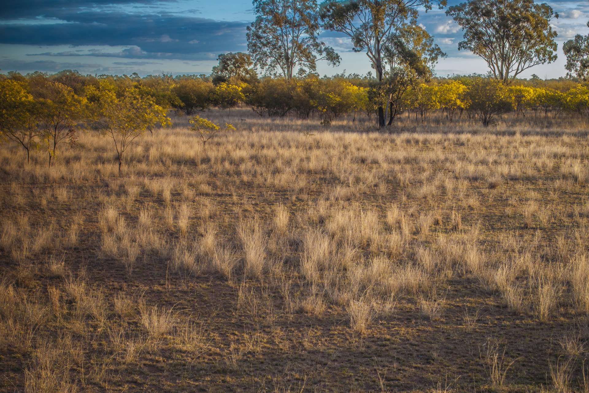 824 Weranga North Road, Weranga Auction by Farmbuy.com - image 9