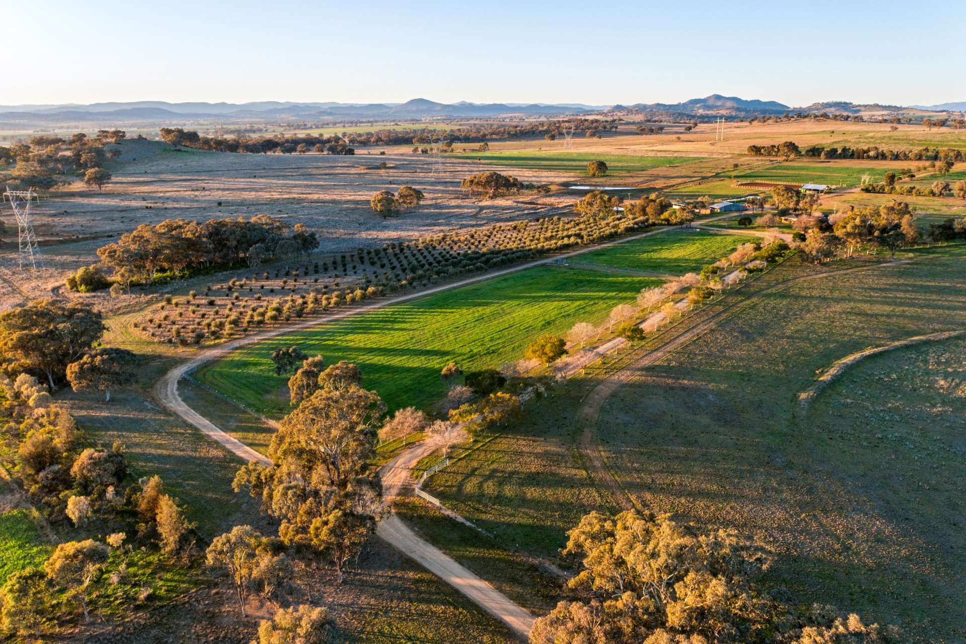 Weemala, 316 Newmans Lane, Tamworth For Sale by Farmbuy.com - image 4