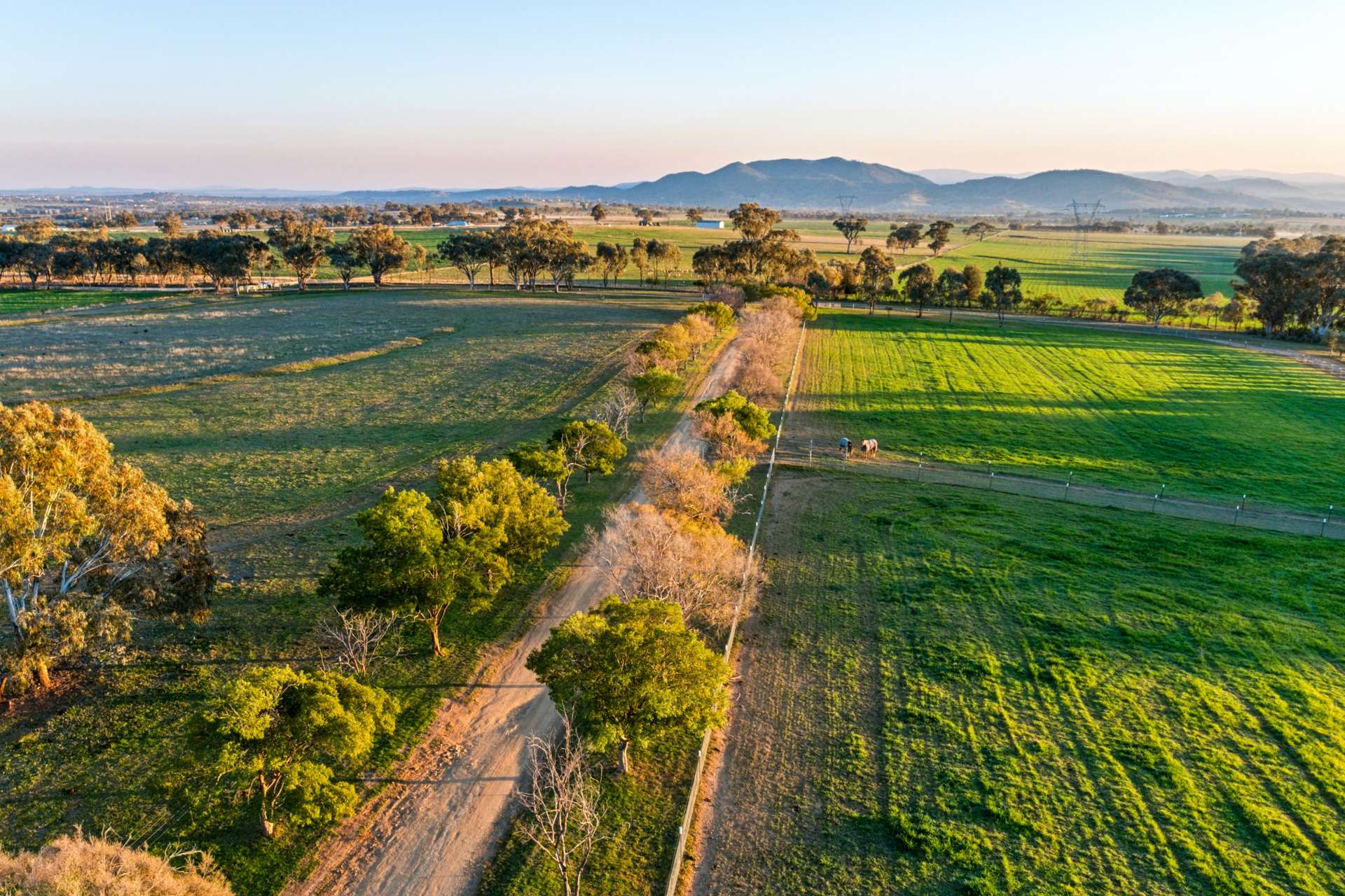 Weemala, 316 Newmans Lane, Tamworth For Sale by Farmbuy.com - image 3