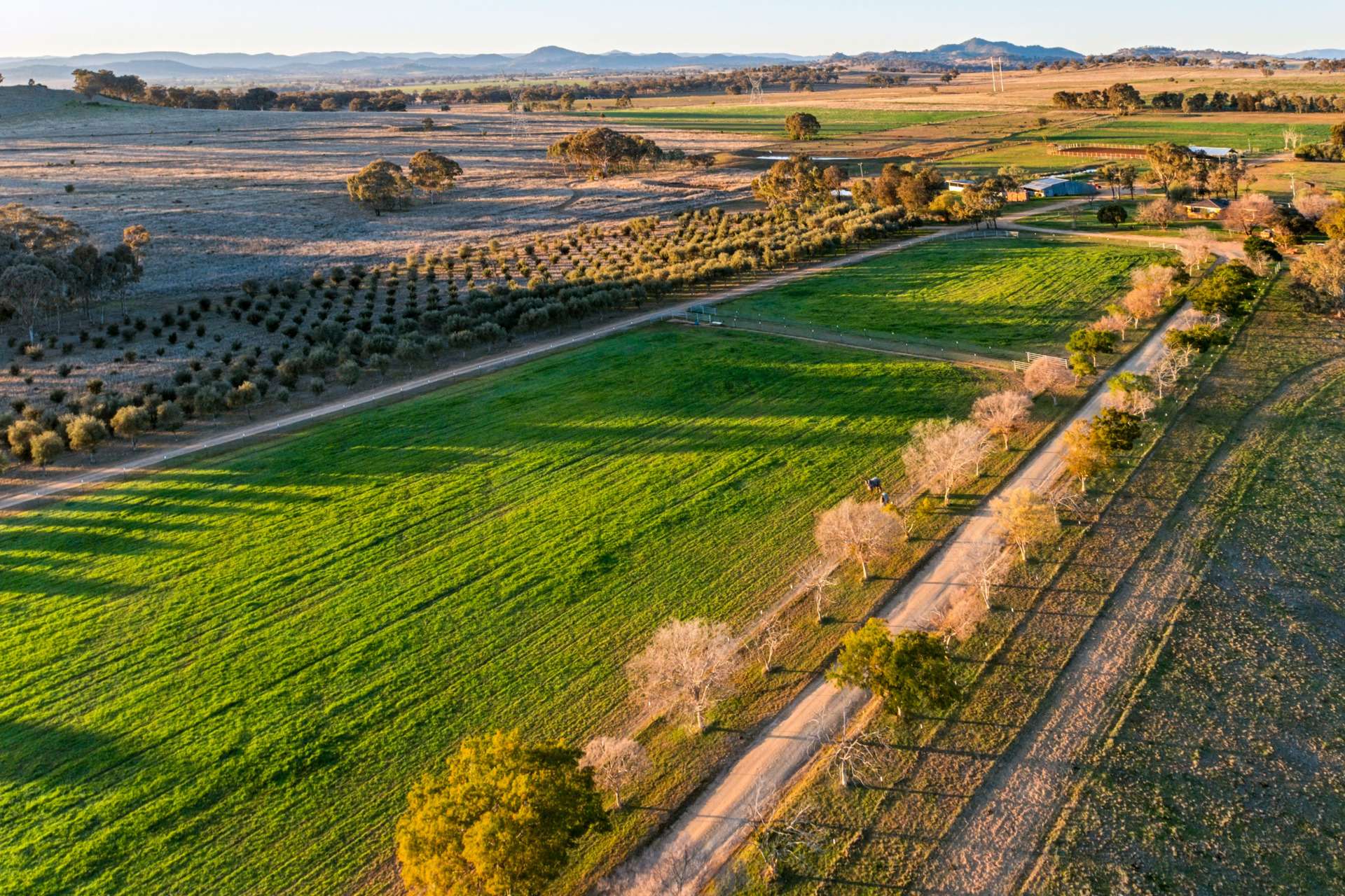 Weemala, 316 Newmans Lane, Tamworth For Sale by Farmbuy.com - image 18