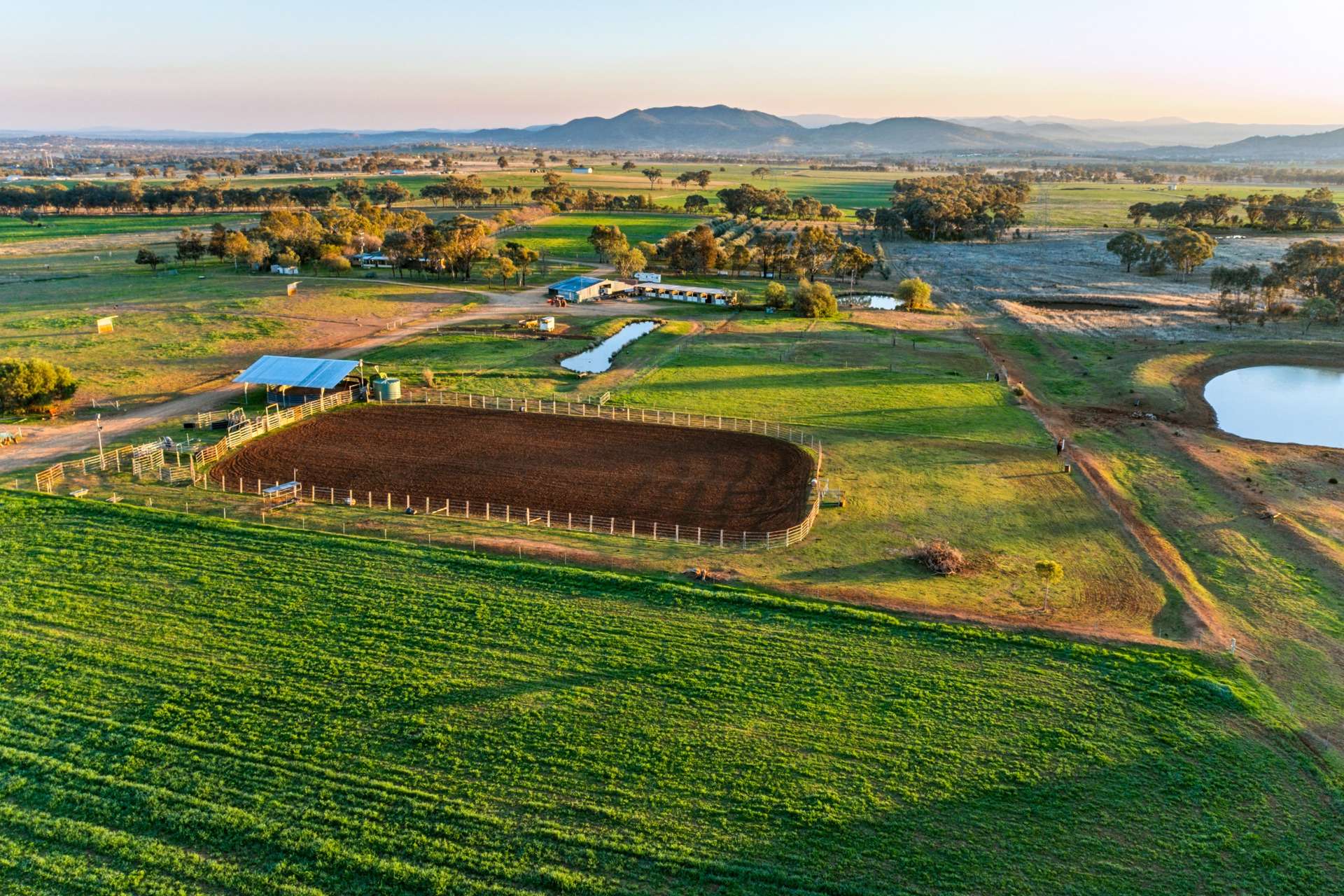 Weemala, 316 Newmans Lane, Tamworth For Sale by Farmbuy.com - image 19