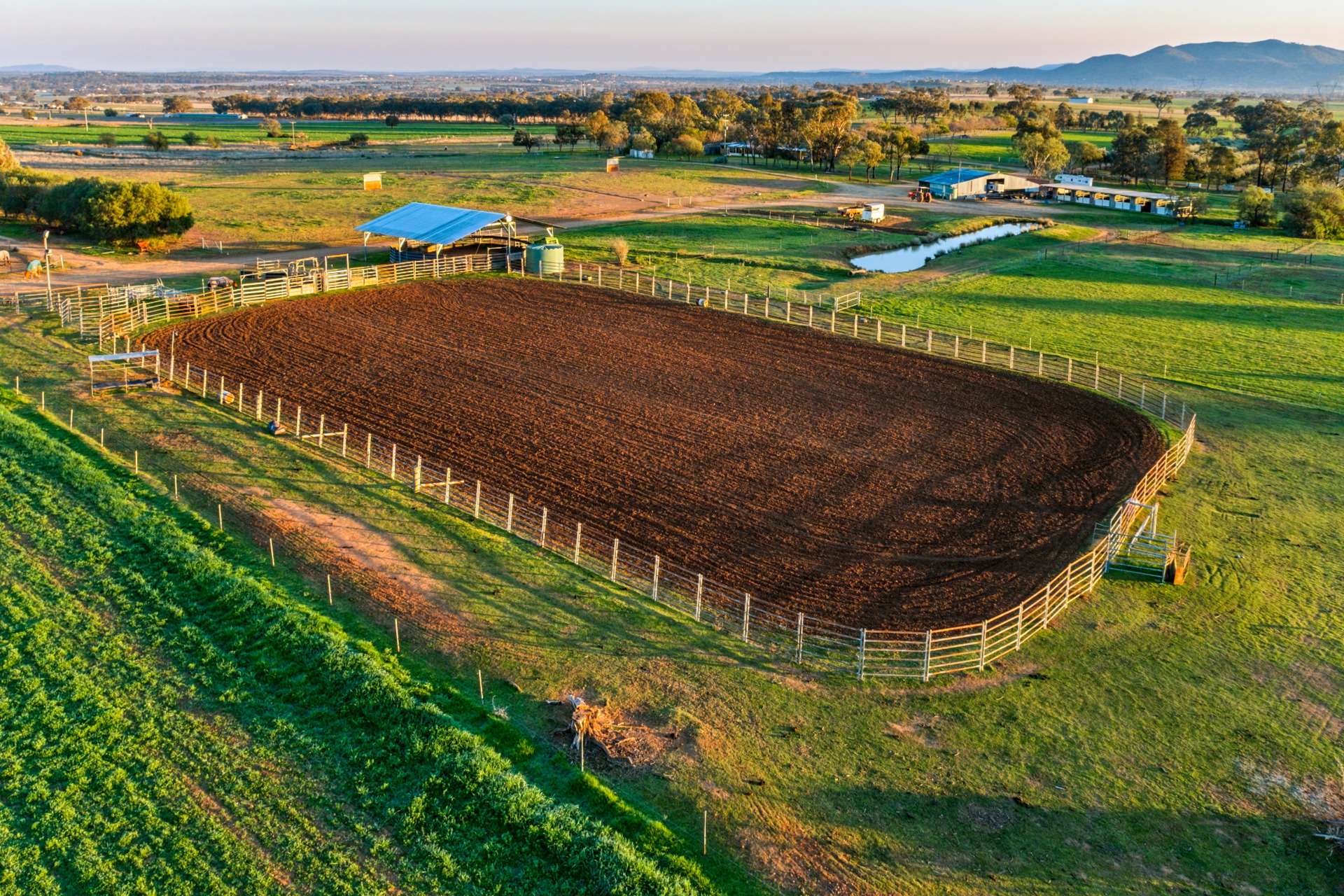 Weemala, 316 Newmans Lane, Tamworth For Sale by Farmbuy.com - image 5