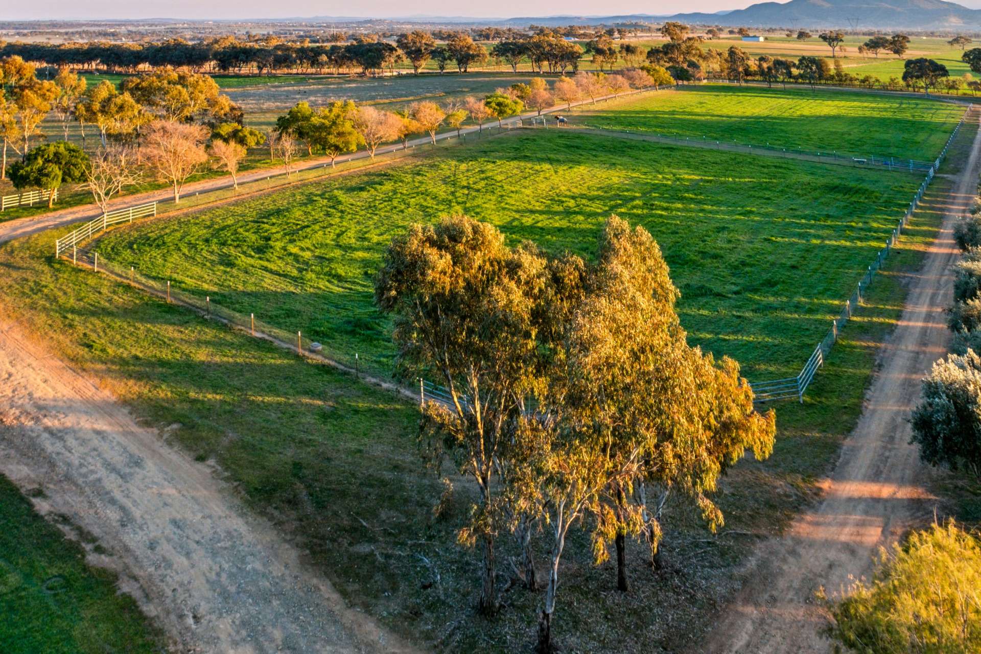 Weemala, 316 Newmans Lane, Tamworth For Sale by Farmbuy.com - image 24