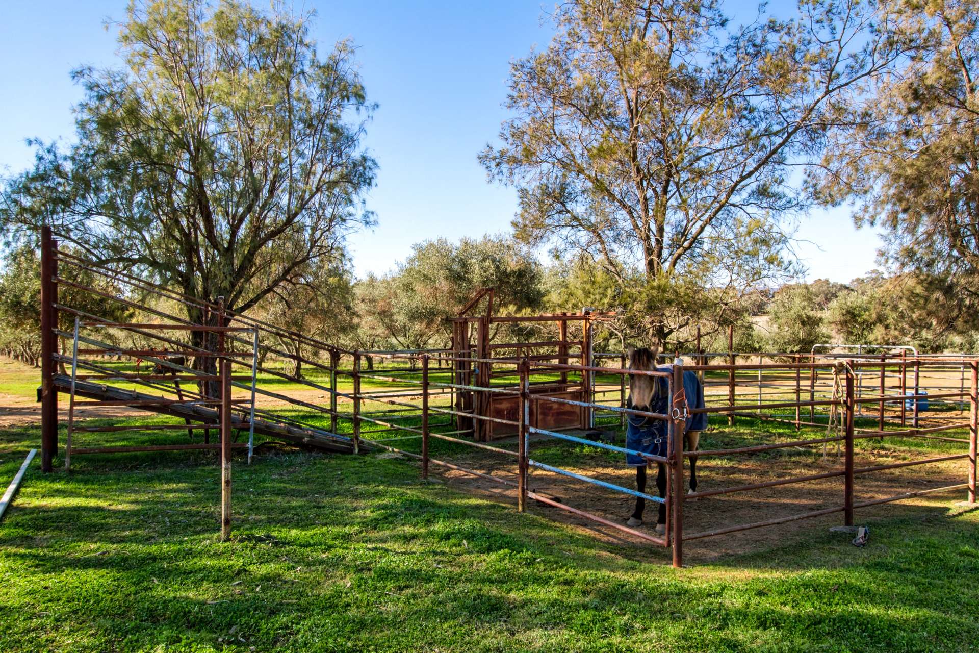 Weemala, 316 Newmans Lane, Tamworth For Sale by Farmbuy.com - image 22