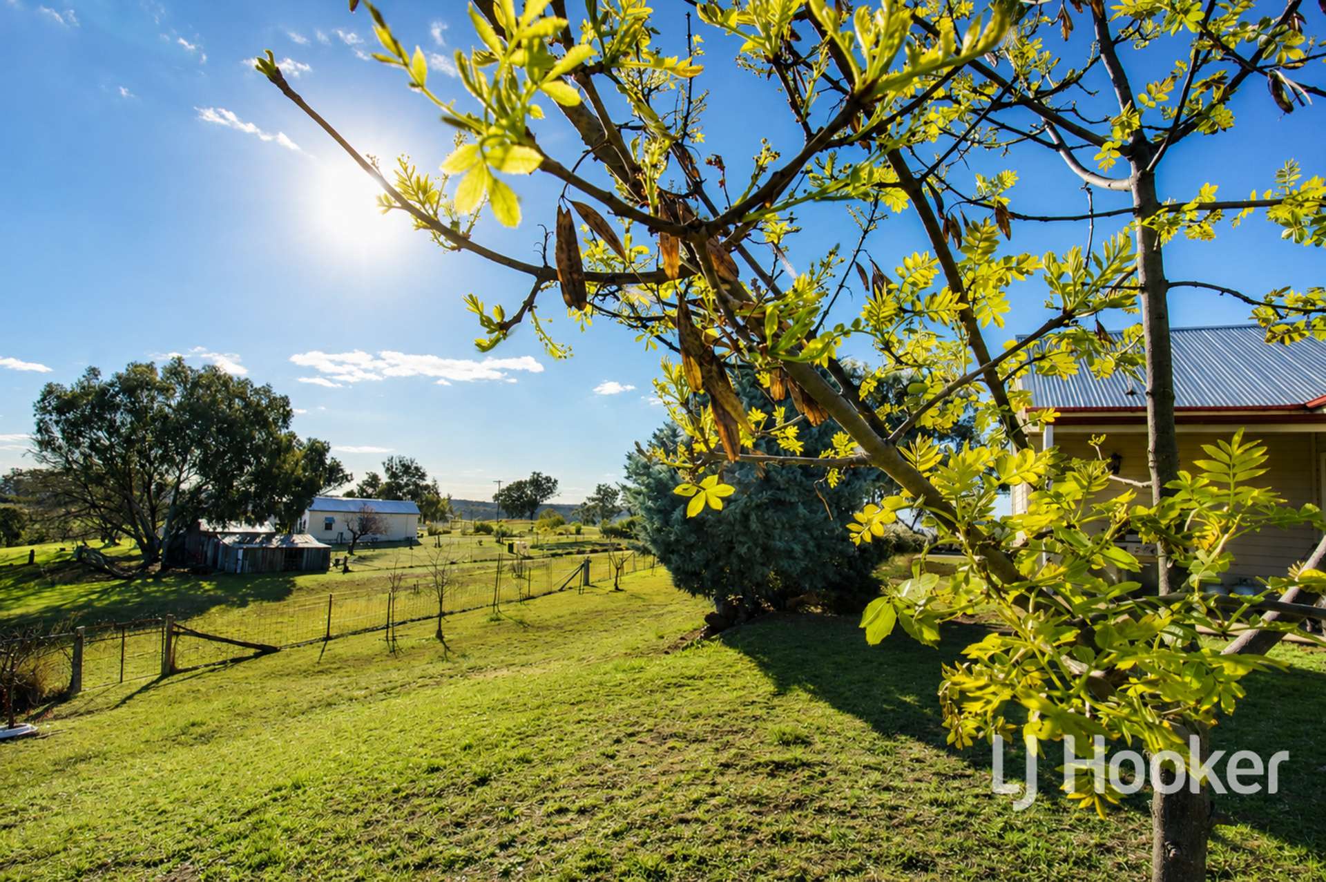 2312 Elsmore Road, Inverell For Sale by Farmbuy.com - image 16