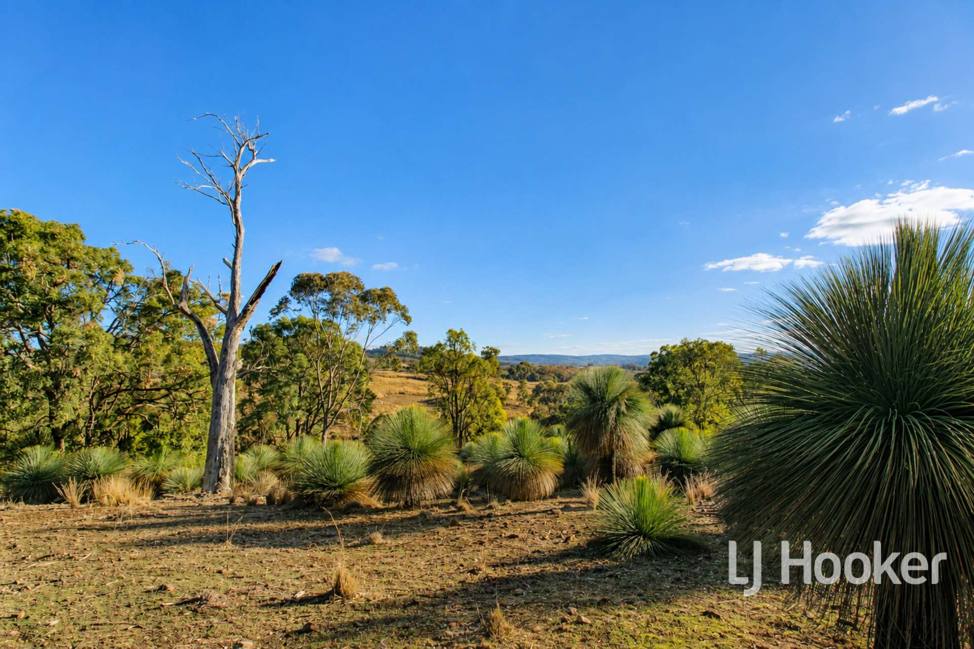2312 Elsmore Road, Inverell For Sale by Farmbuy.com - image 27