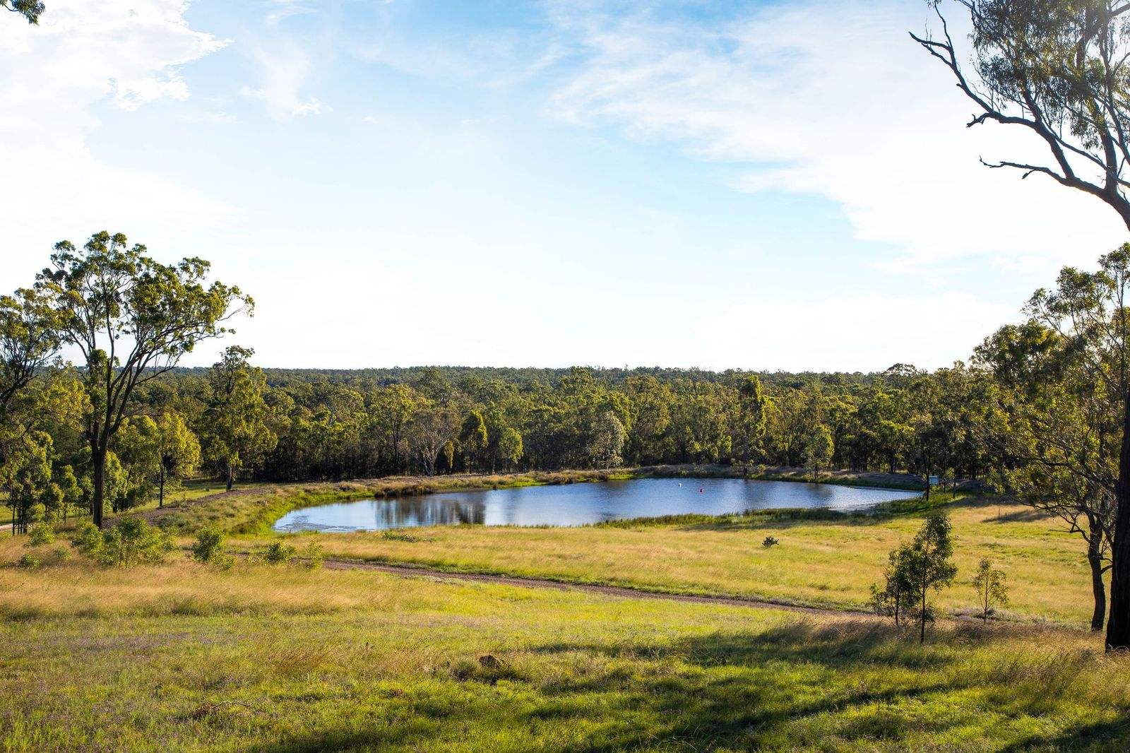 113 Owens Scrub Road, Leyburn For Sale by Farmbuy.com - image 1