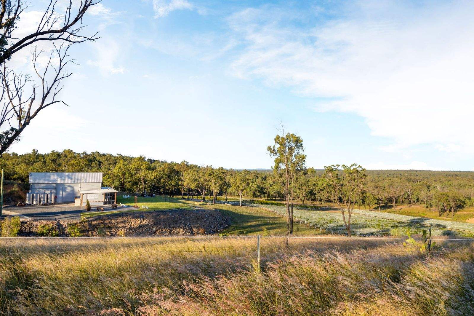 113 Owens Scrub Road, Leyburn For Sale by Farmbuy.com - image 2