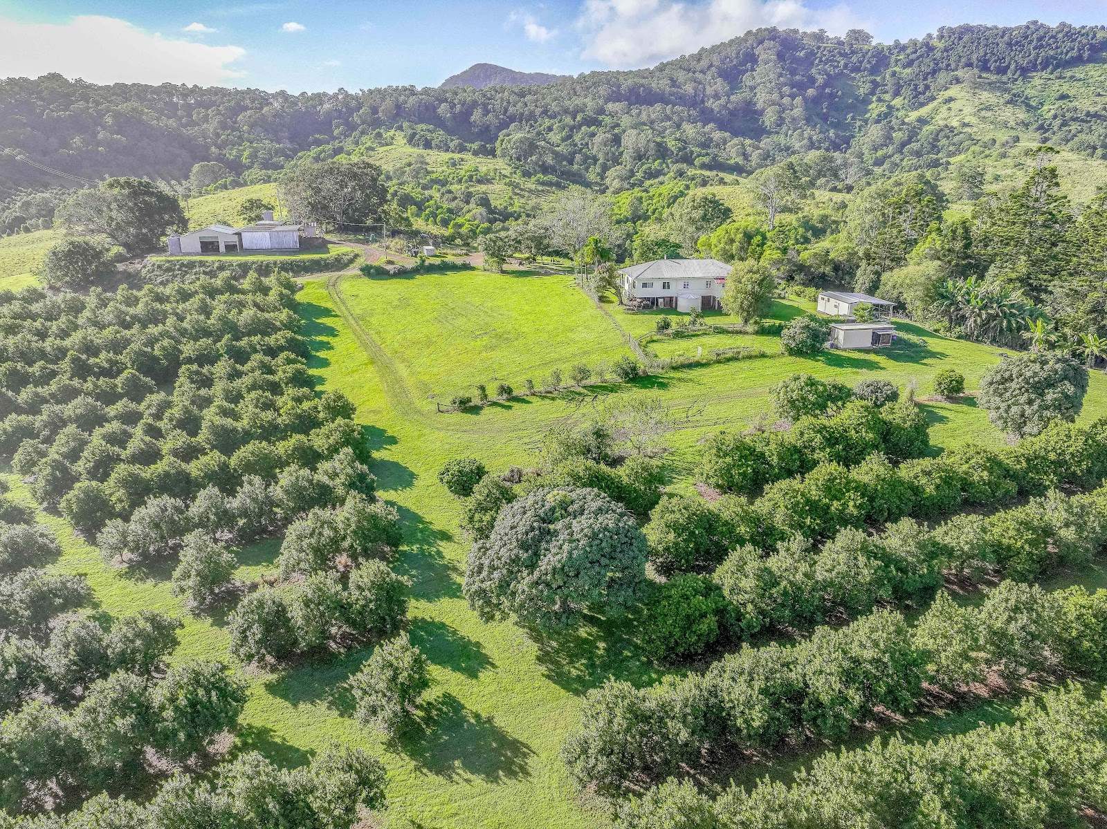 428 Shadbolt Road, Mothar Mountain For Sale by Farmbuy.com - image 10